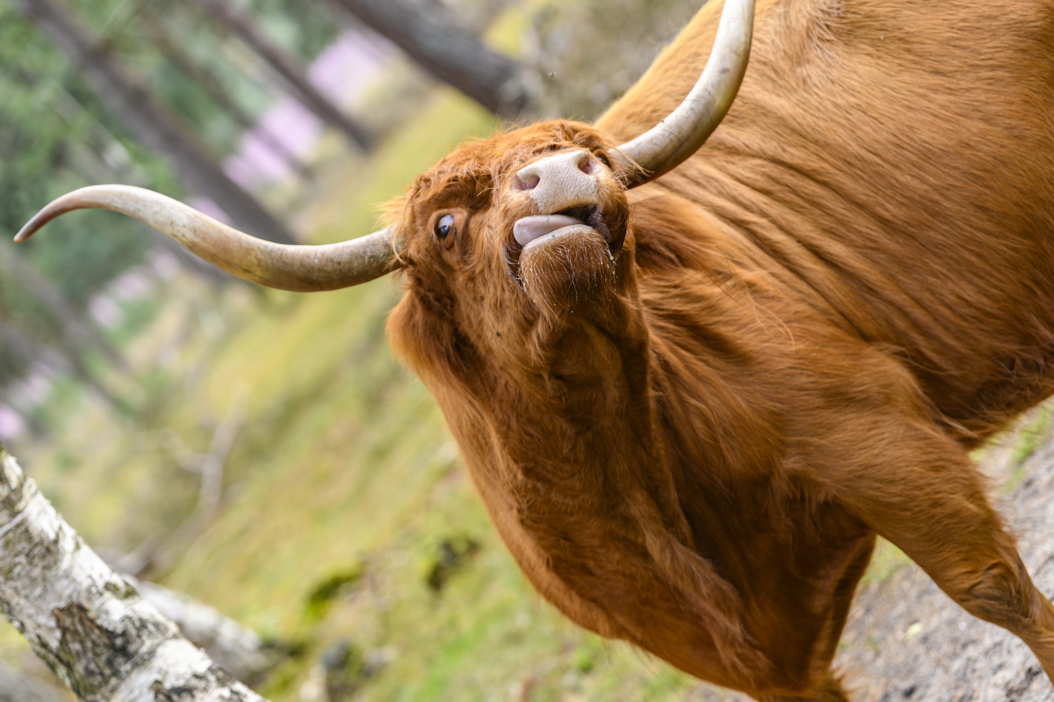 延安职业技术学院森林和草原资源保护专业就业方向：多个领域等你选择