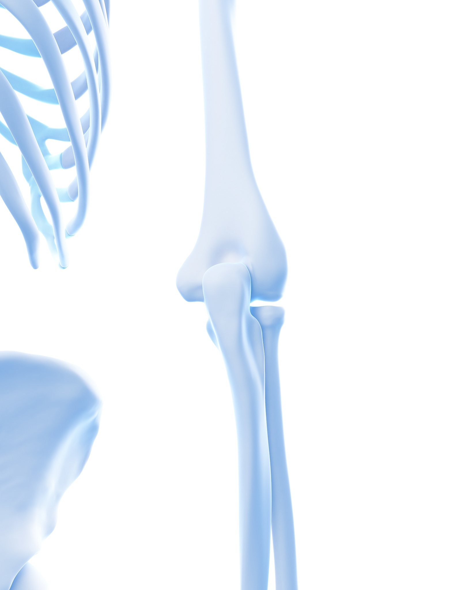 下臂扭转关节：人体骨骼翻译 'lowerarm_twist'