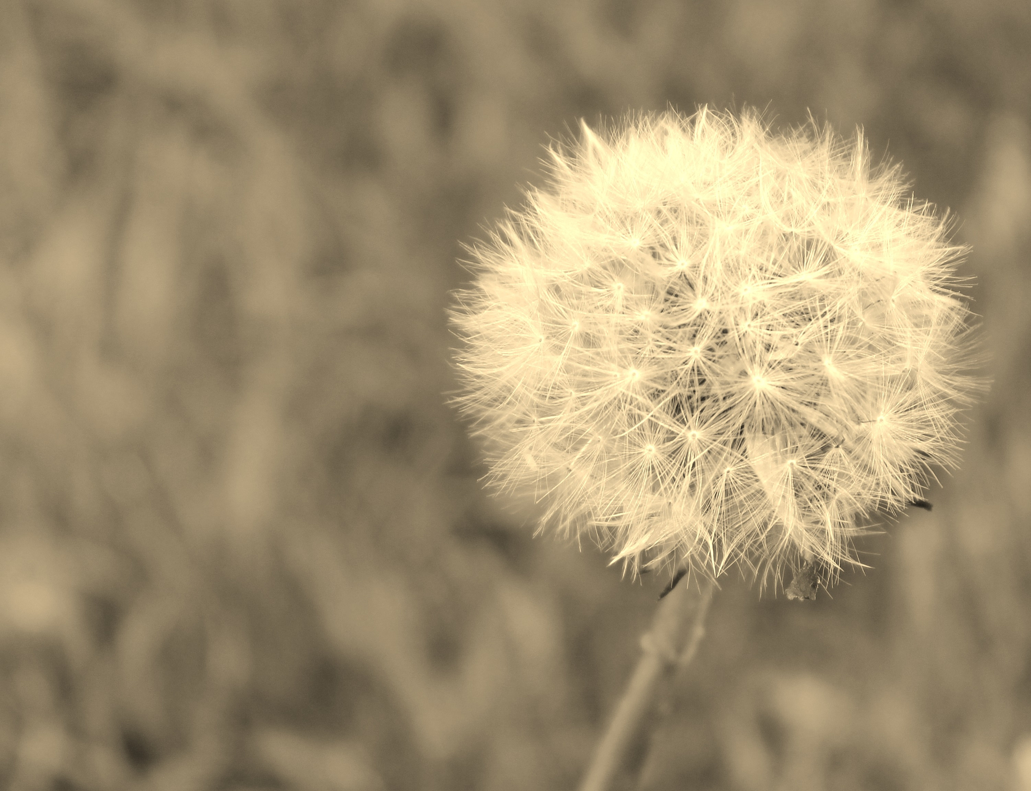 春天沉淀：反思成长，规划未来