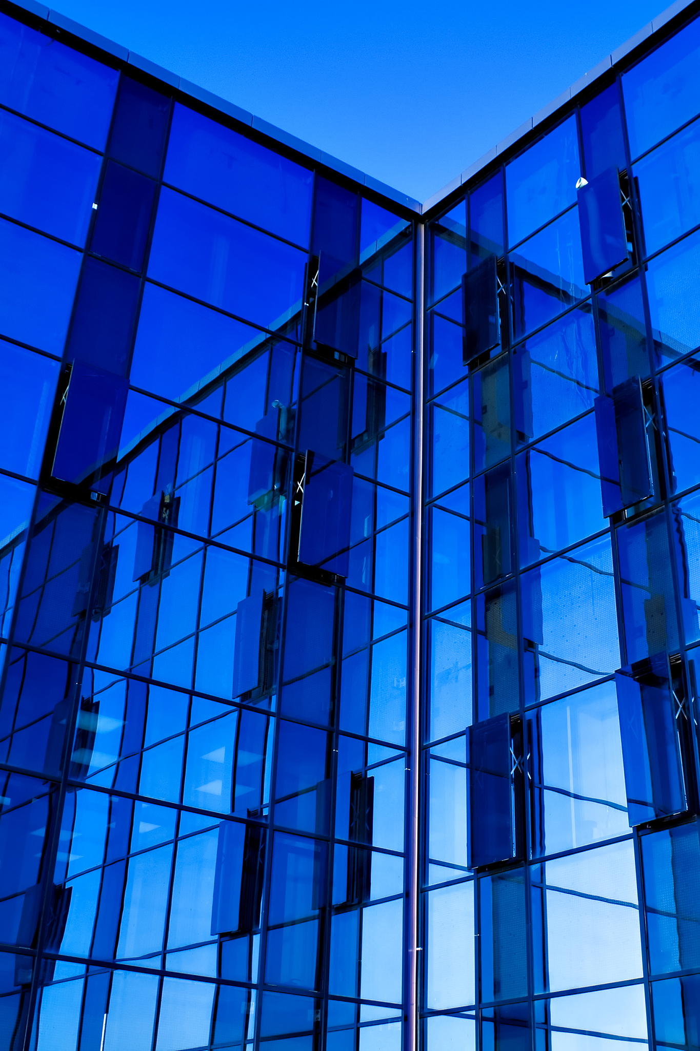 beautiful reflection in glass wall