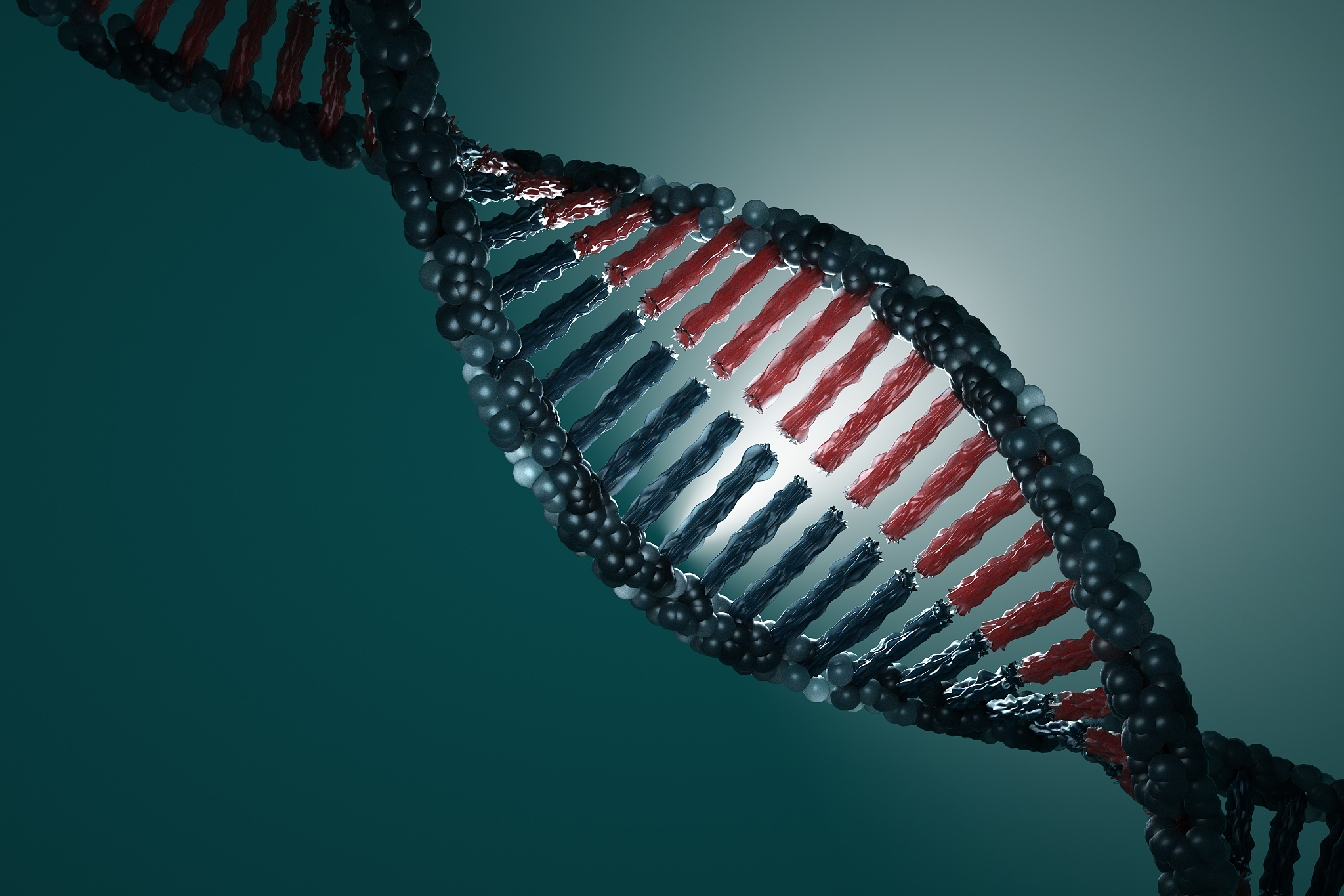 鱼类基因组杂合率：0.7%算高吗？