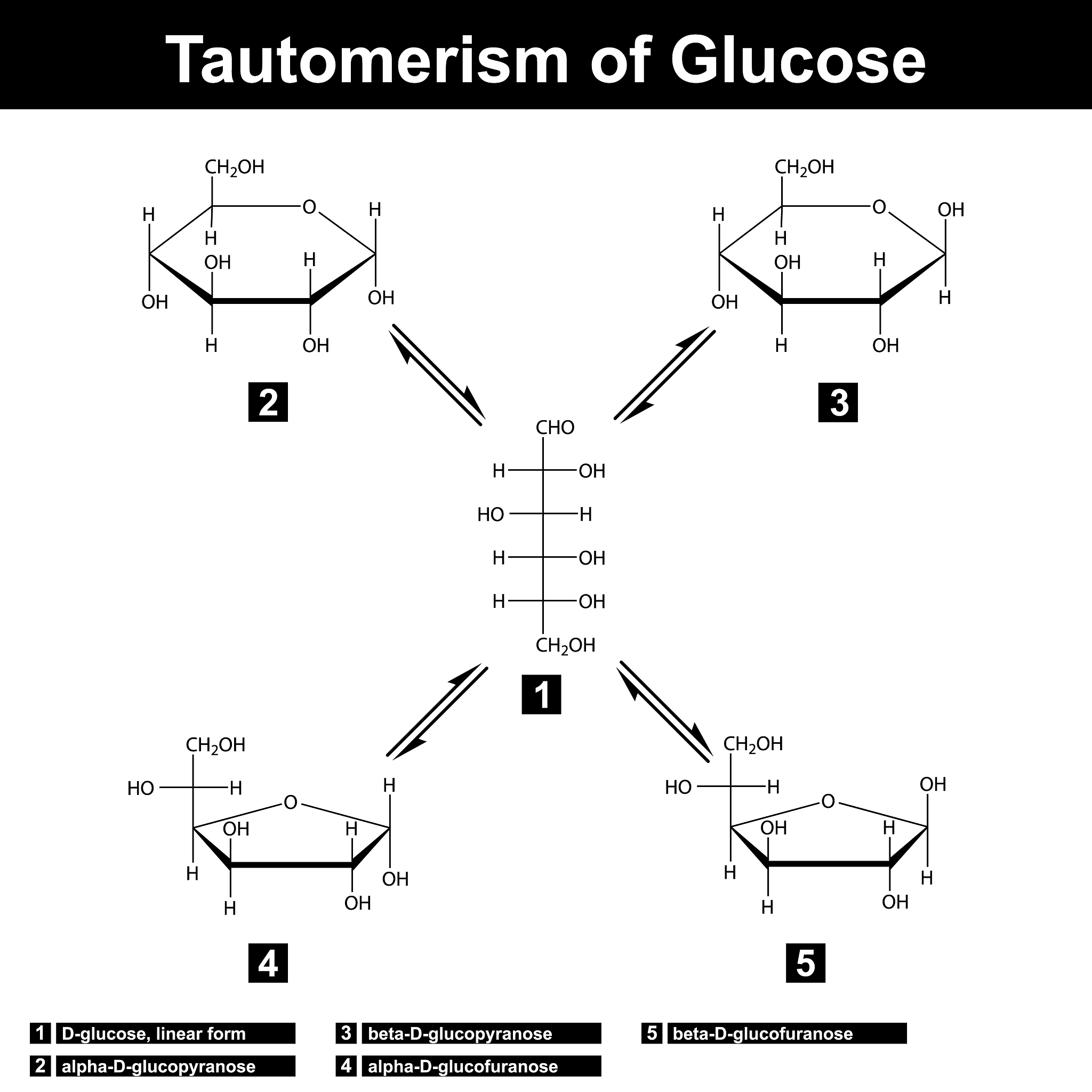 Matlab实现二叉树模型期权定价