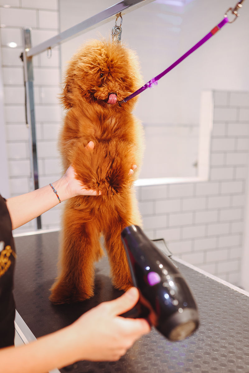 商丘职业技术学院饲料与动物营养专业怎么样好学吗怎么样