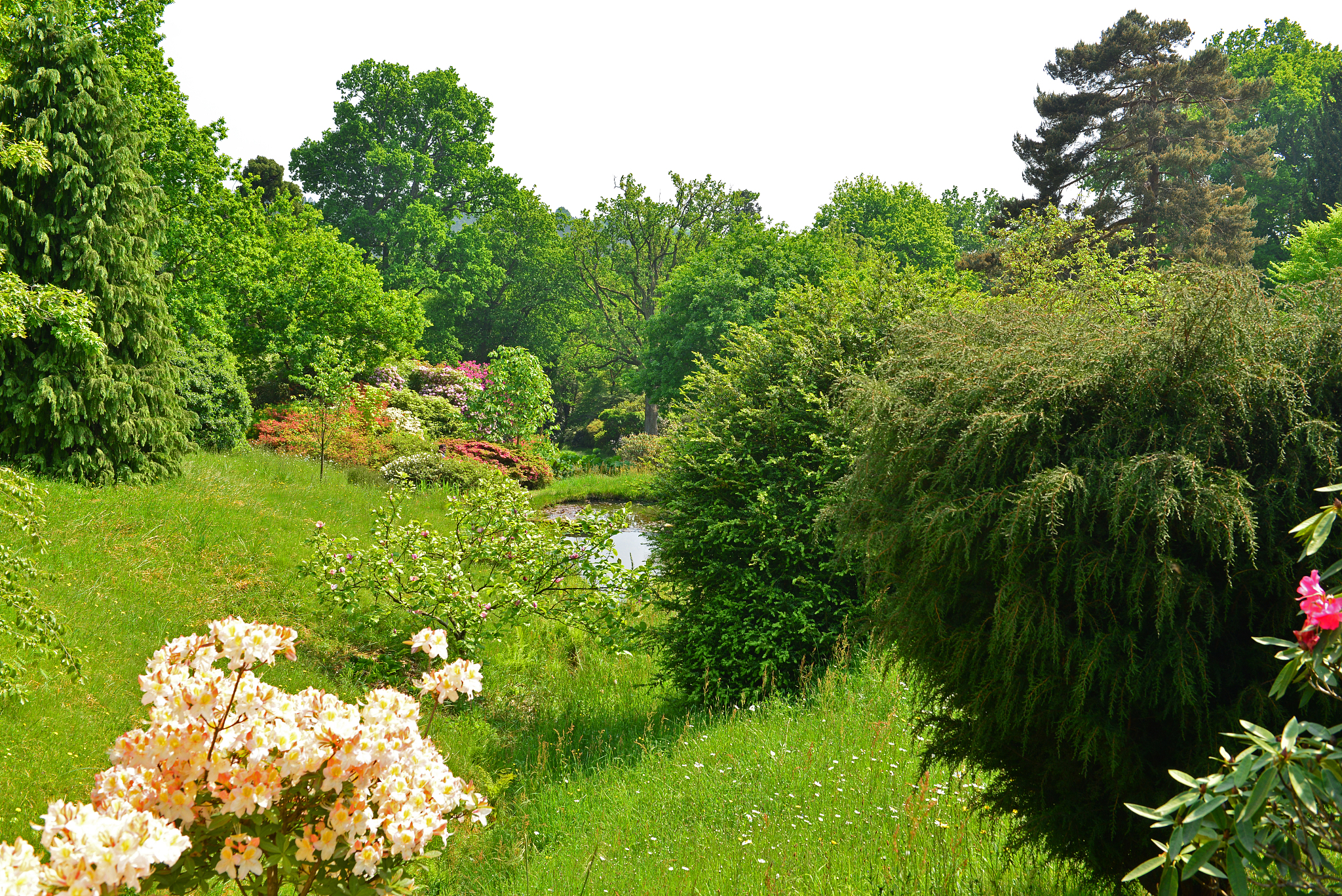 湖北园林工程技术学校2021年招生简章 - 园林工程技术专业