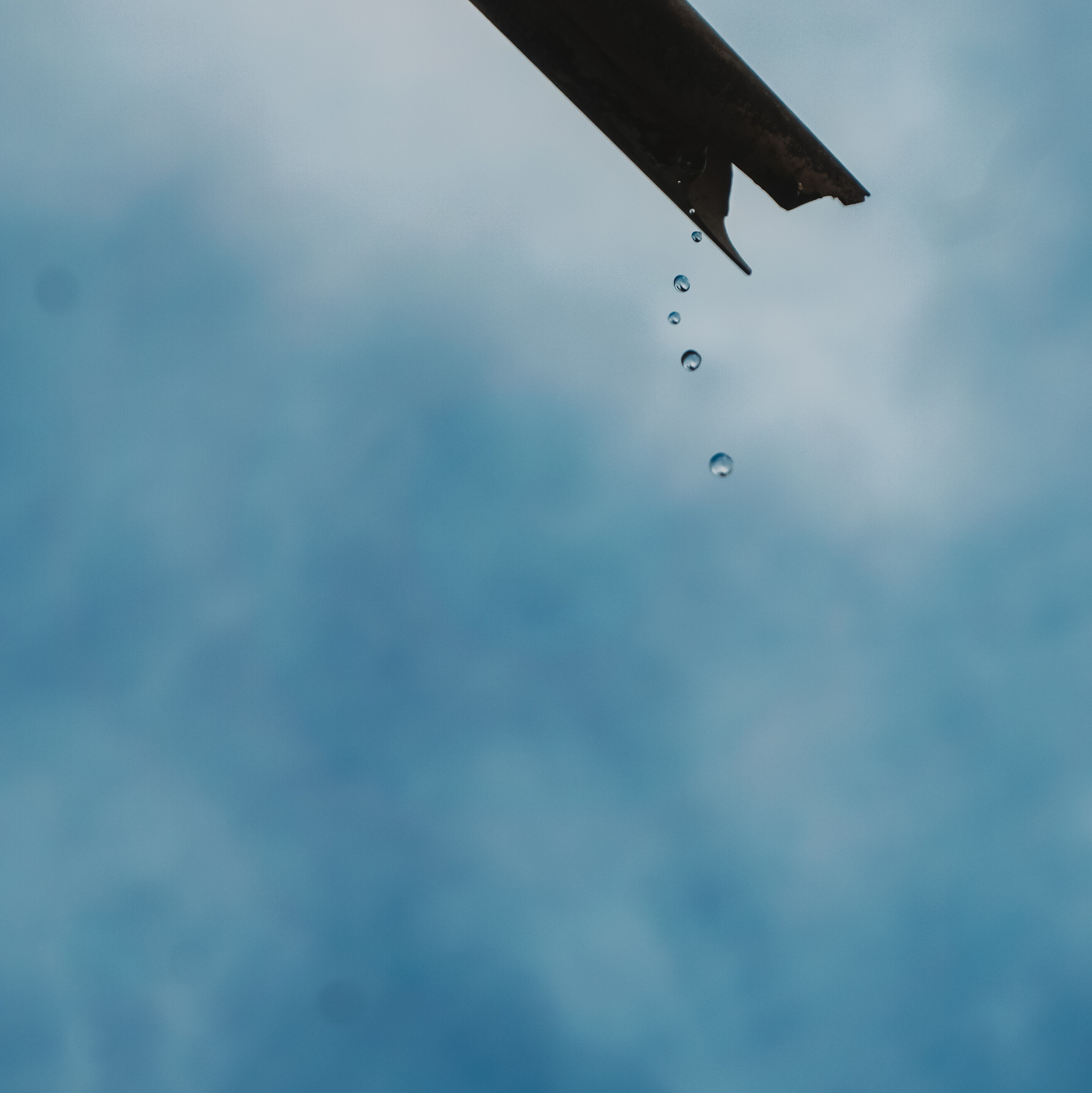 15个意境深远的名字，带你感受心灵的诗意之旅