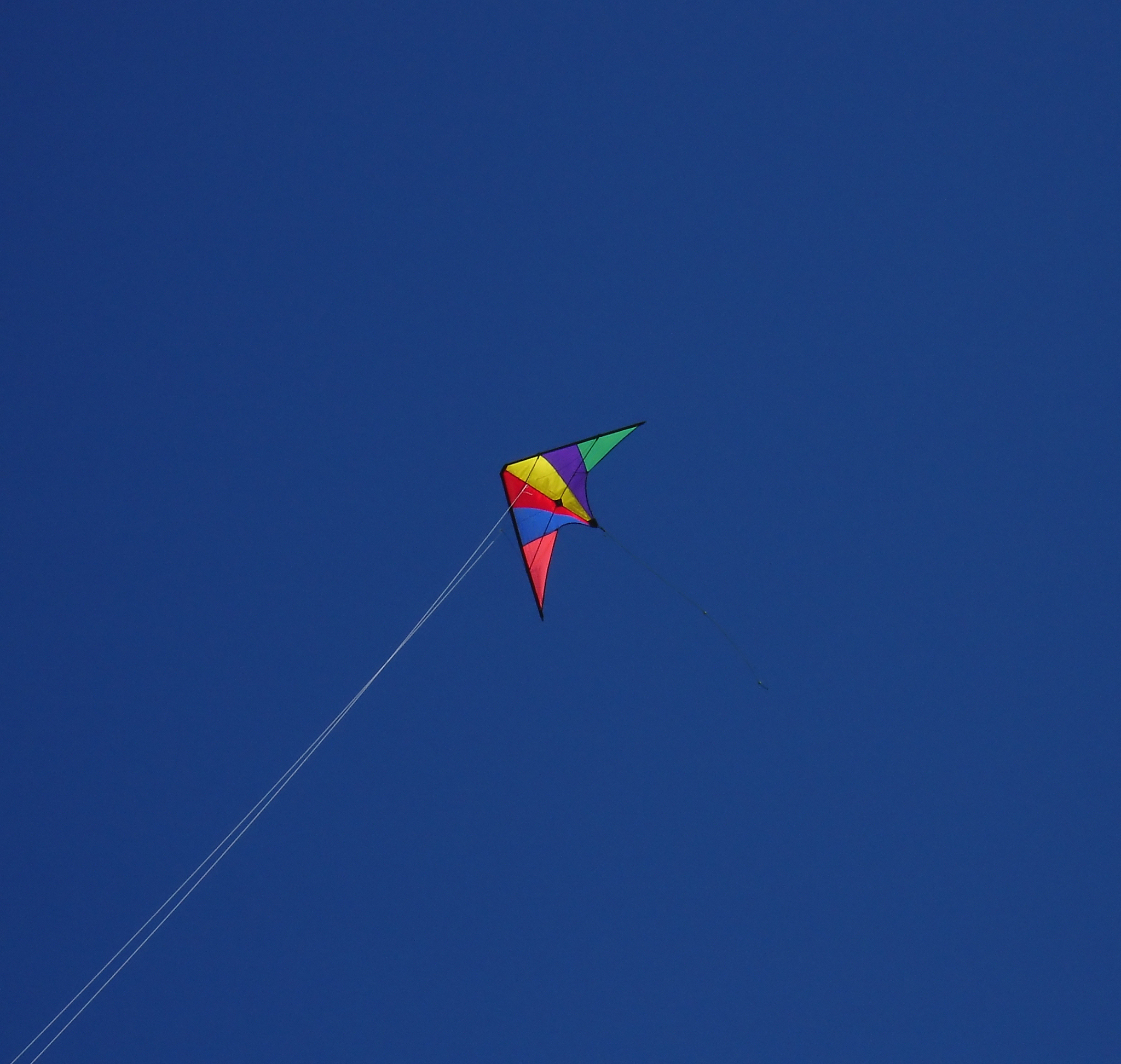 假如我是复旦大学的研究生导师，而你是一名护理跨考流行病学的学生，请向我证明你为了跨考具体做了哪些准备，你的科研能力，以及你还需要在哪些方面提高。为了在复试时和其他分数比你高的考生有区别，你将携带什么材料