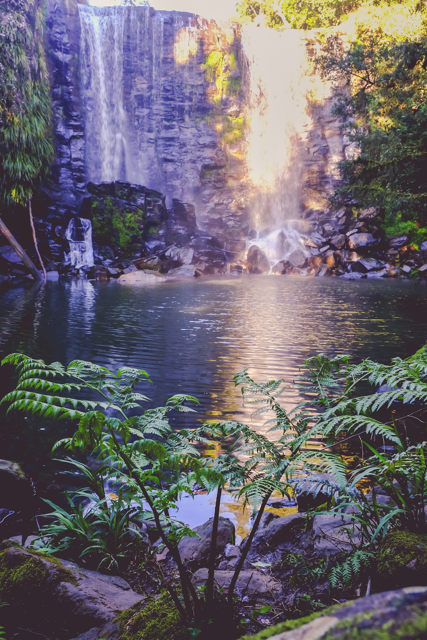 enchanted fairy landscape - wairoa / te wairere waterfall in ker