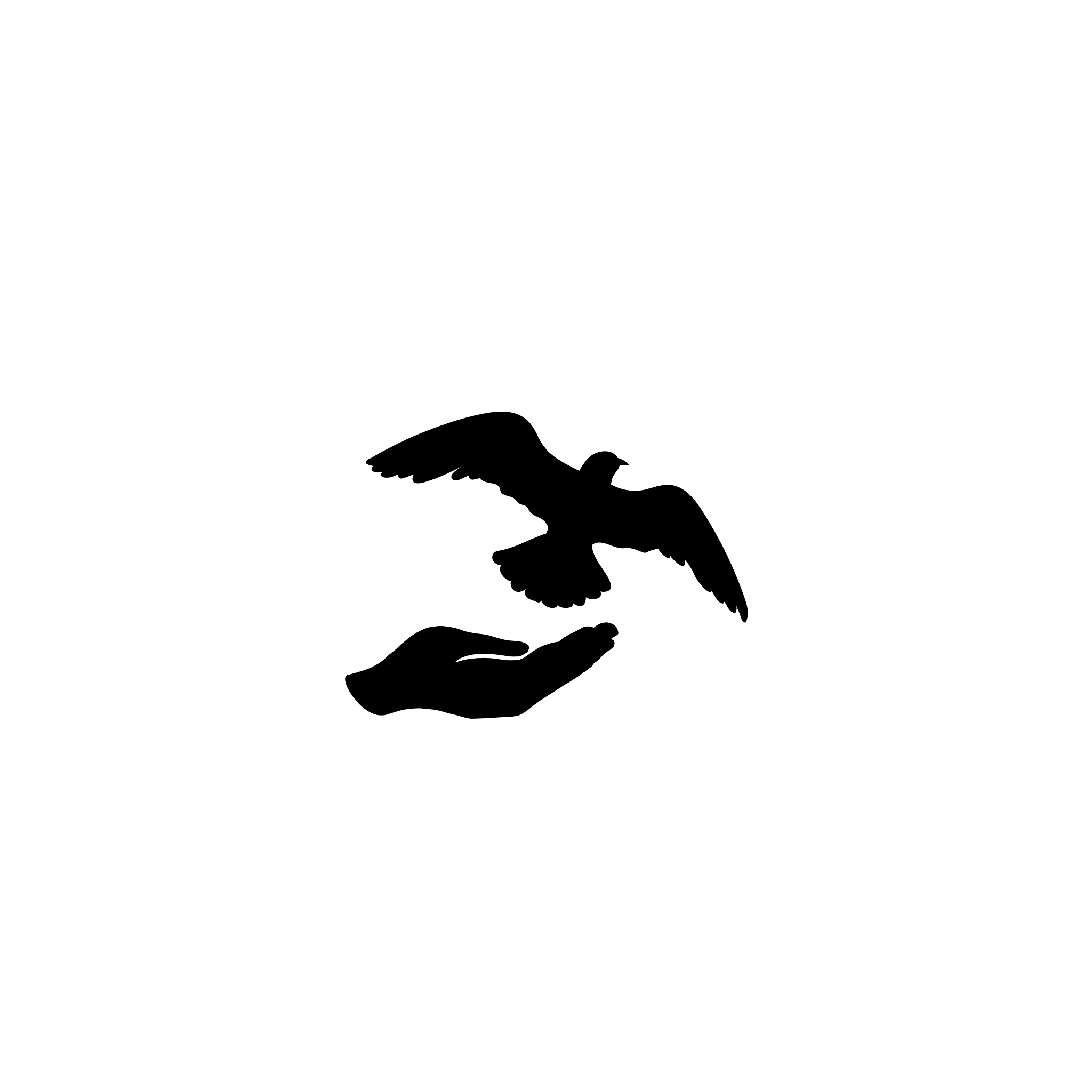 dove bird free with hand pigeon flying peace