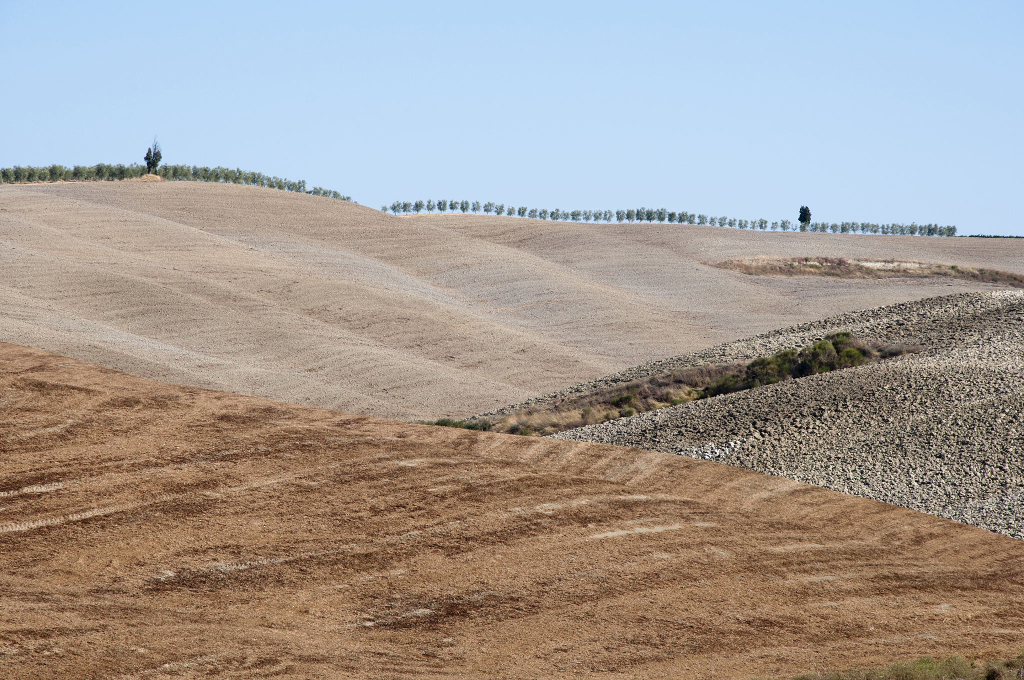 toscana