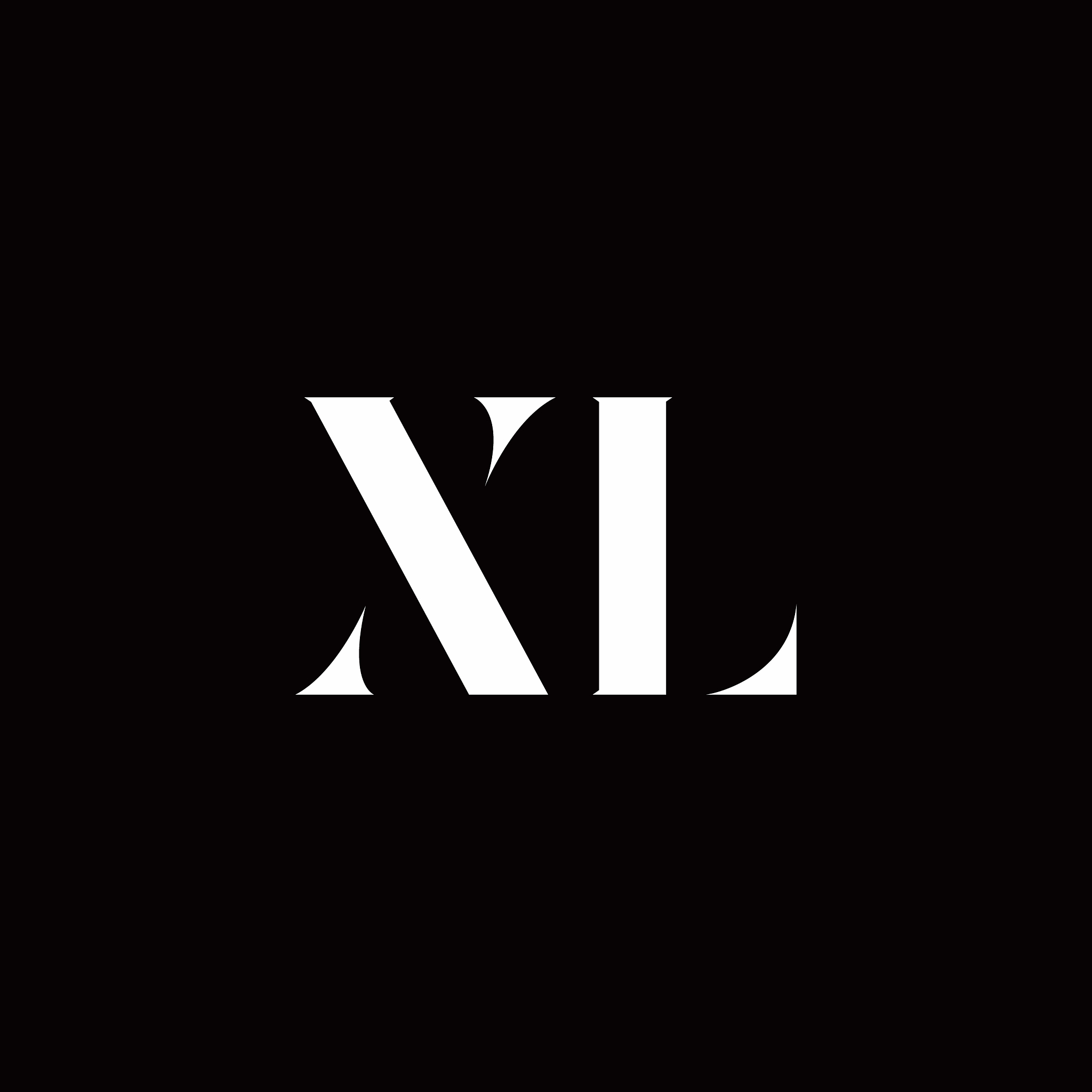 xl logo letter initial logo designs template