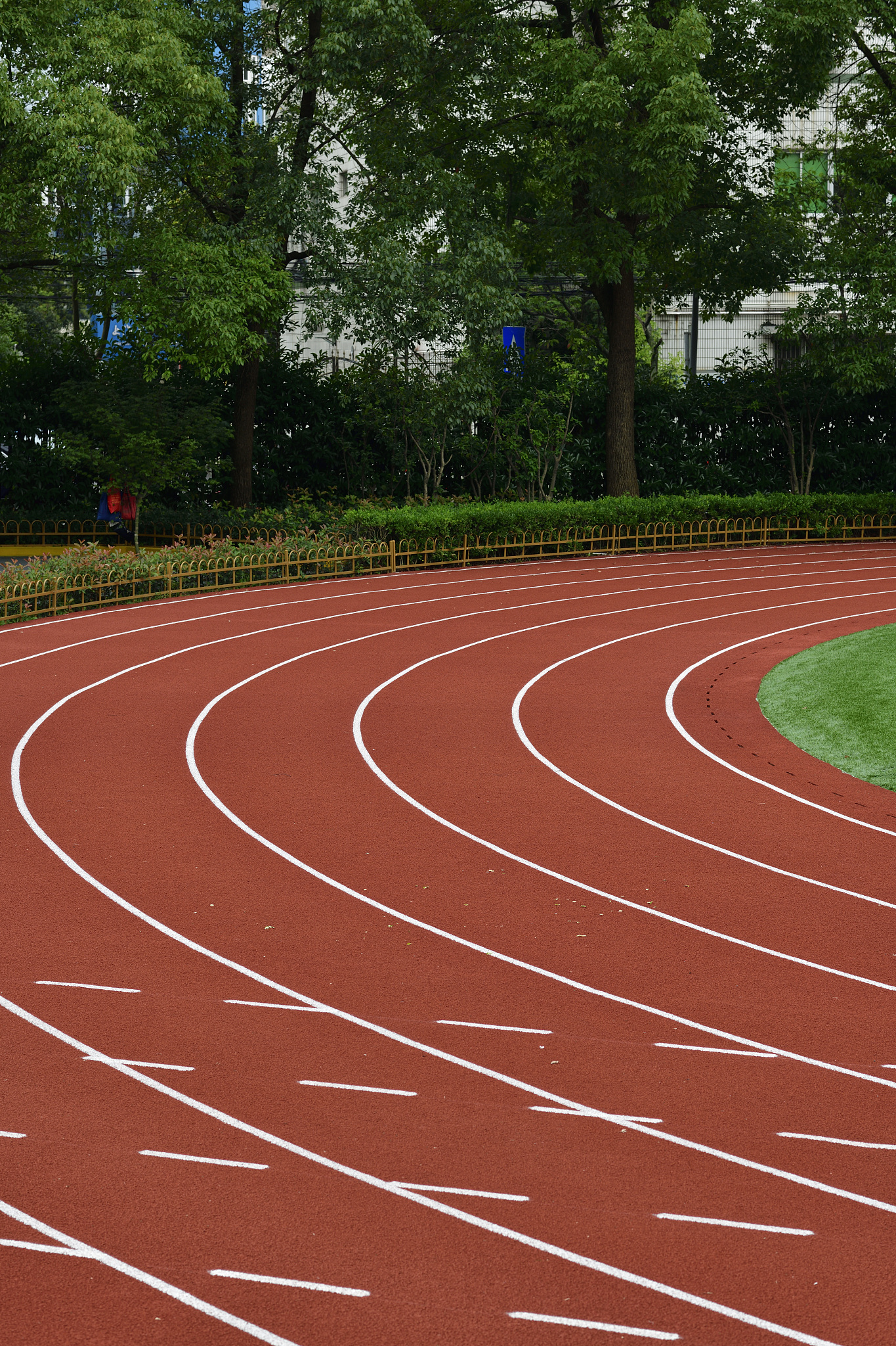 杭州塑胶跑道价格 关键词：价格 质量 包施工 写一篇文章