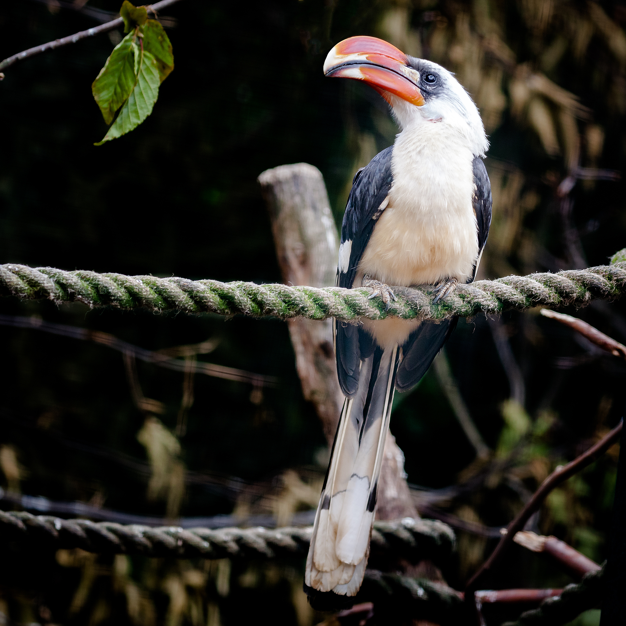 HJS 新生活キャンペーンの成功事例 - 更なる成長に向けた取り組み