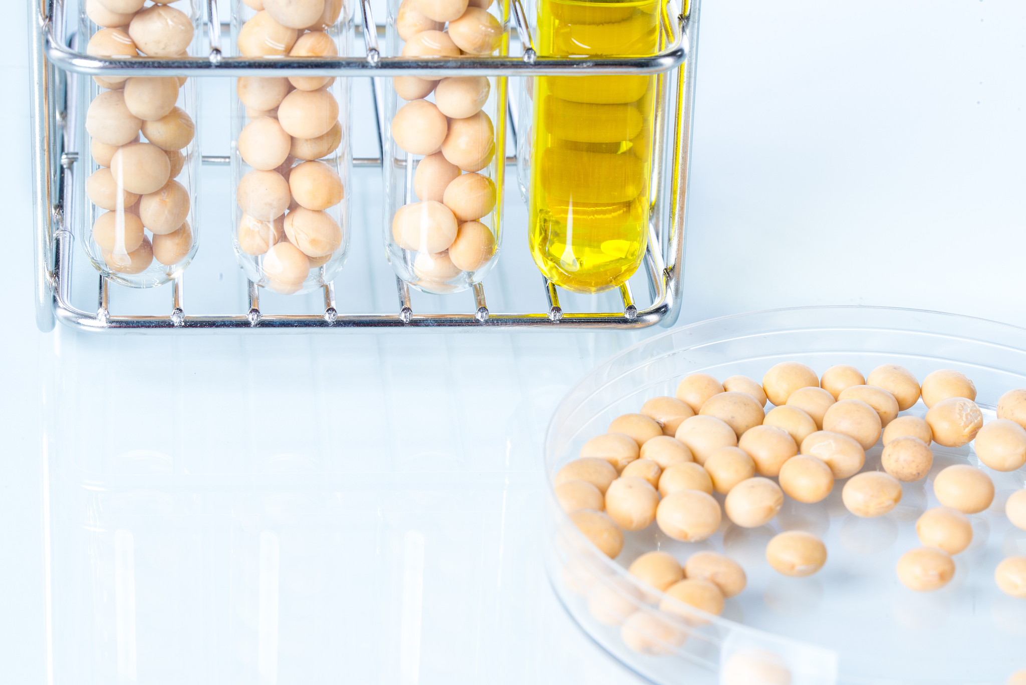 阅读这篇标题 Genome-wide characterization of soybean RALF genes and their expression responses to Fusarium oxysporum 的文章，概括内容