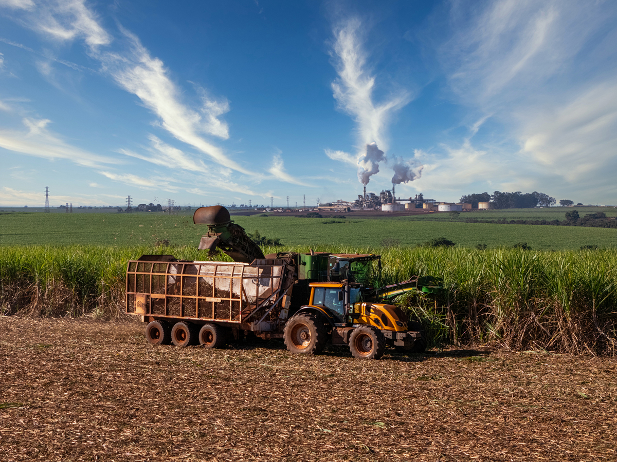 在经历了苏联解体后农业市场化的改革俄罗斯的农业开始衰退农产品的对外依存度提高。