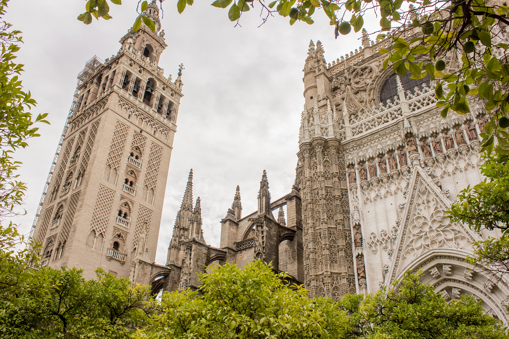 view of the giralda minaret and the cathedral listed as world he