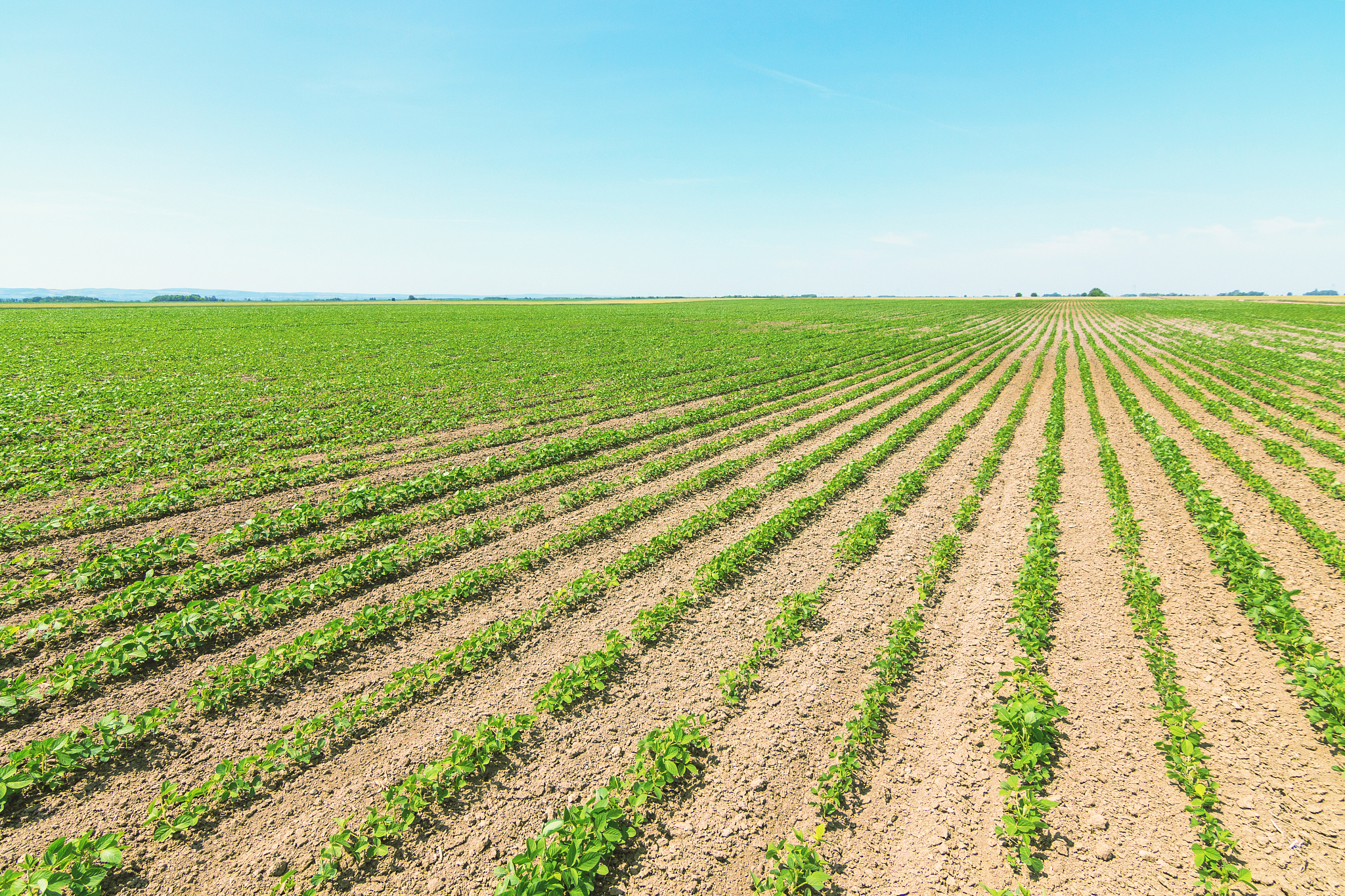 四川省南江县职业中学农业专业介绍
