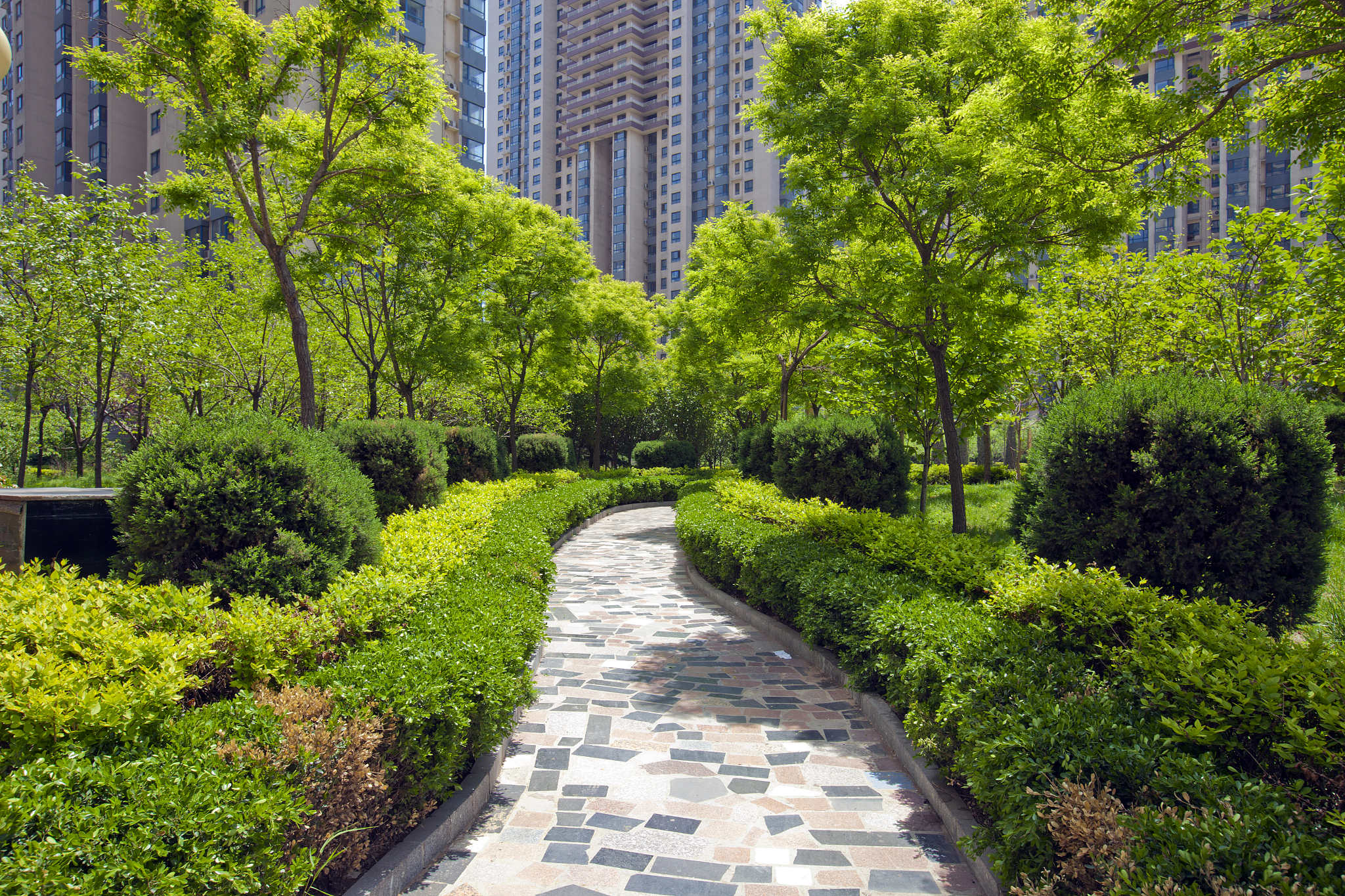 城市小区绿化