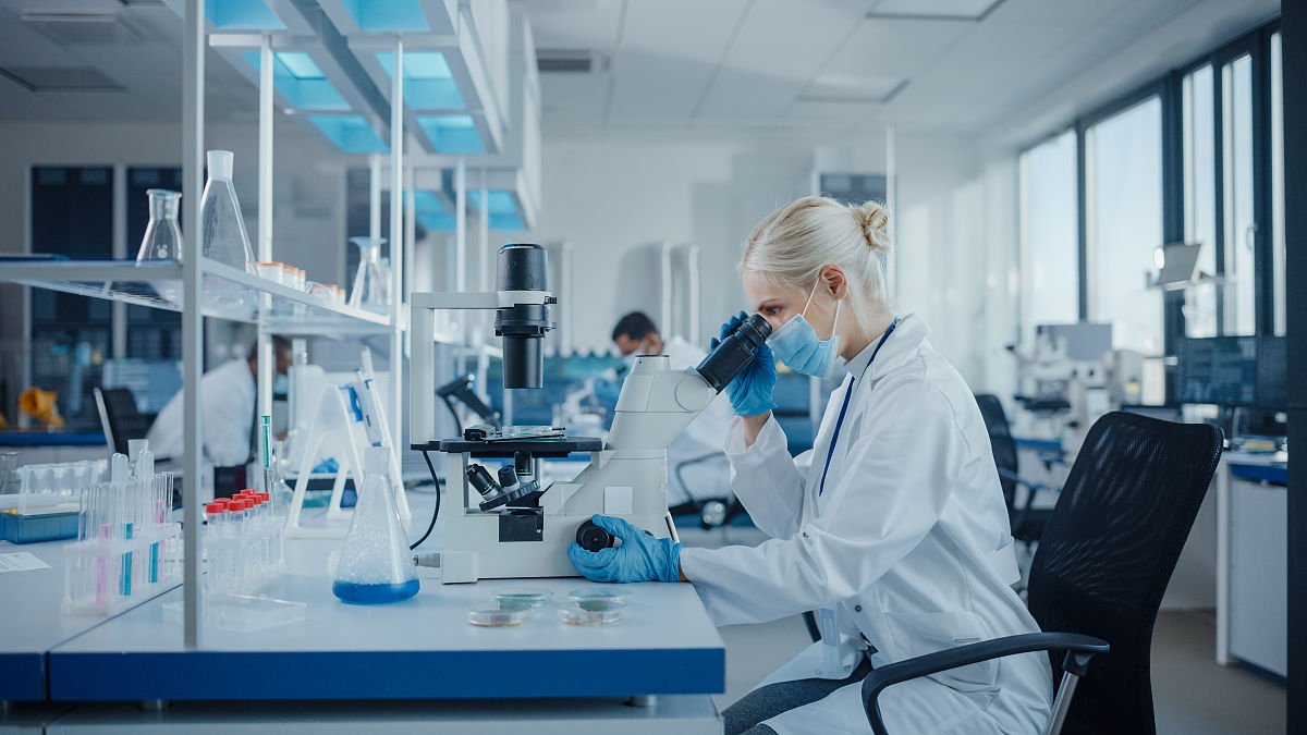 编写1000字 我与实验室共成长 征文 紫金山实验室