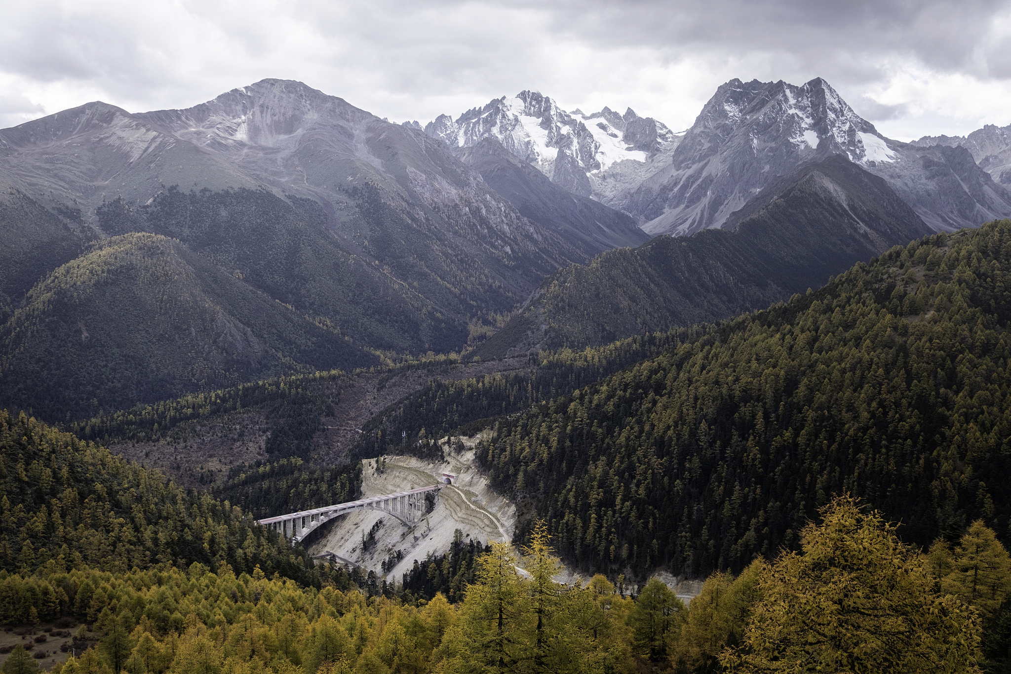 四川就业好的中专学校推荐 - 高质量职业教育选择