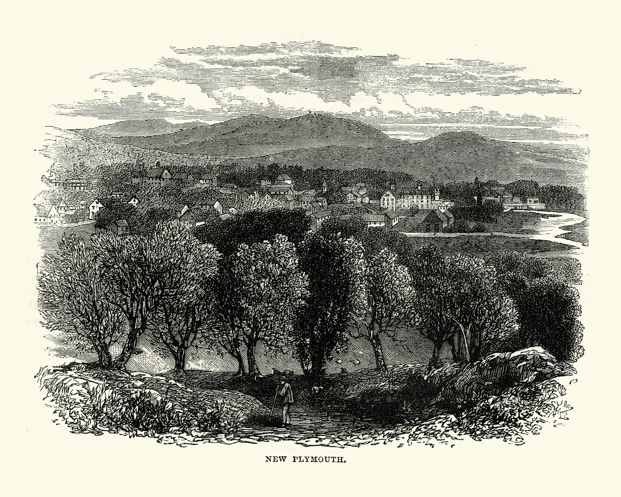 please tell me what make Modernism special in its expression its treatment of wordsetc