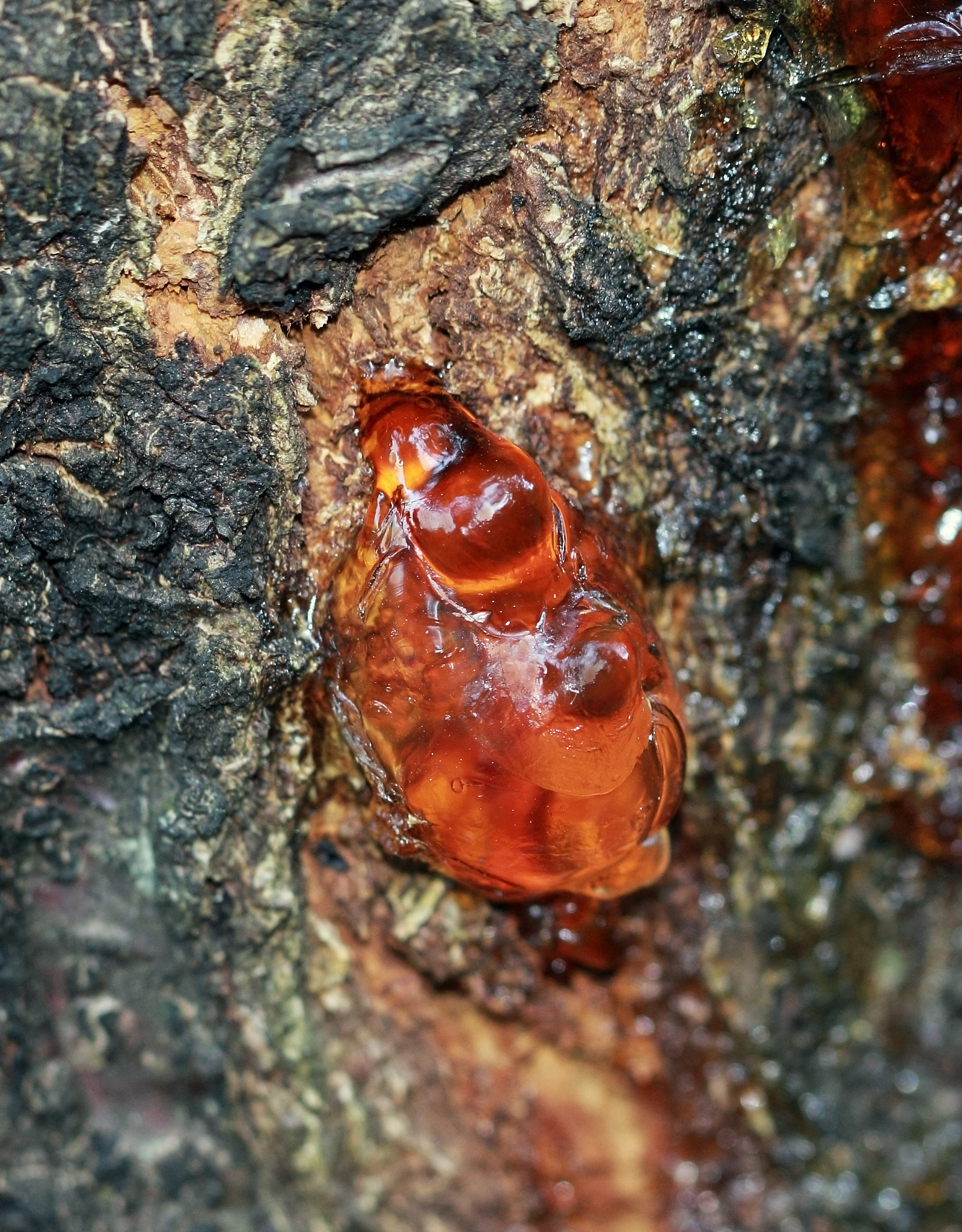 科学课学什么？