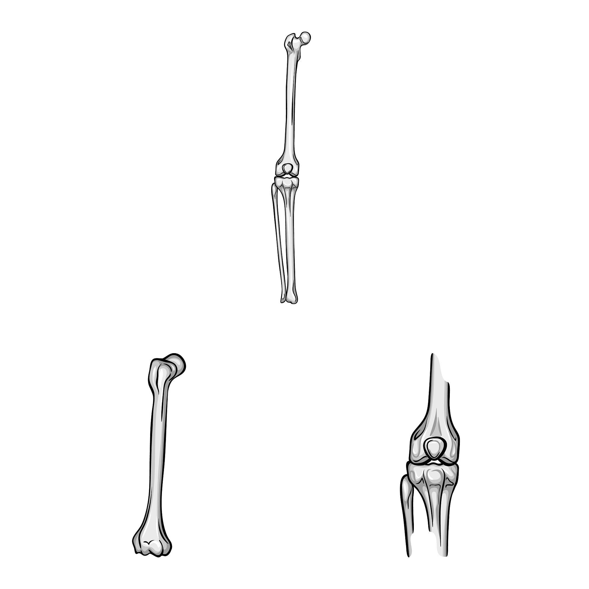 骨骺线闭合后还能长高？抖音传言背后的真相