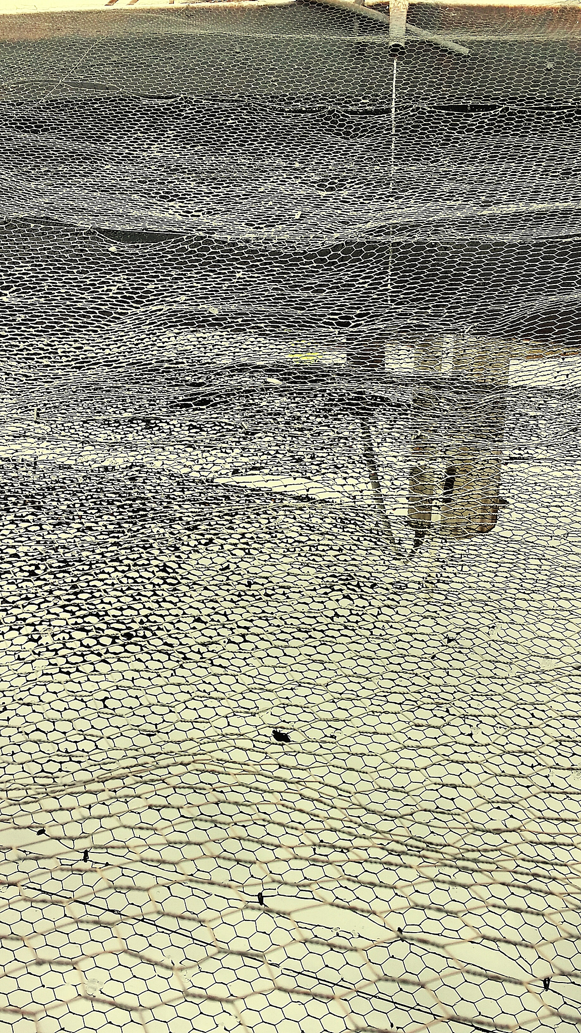 介绍彩色图像边缘检测