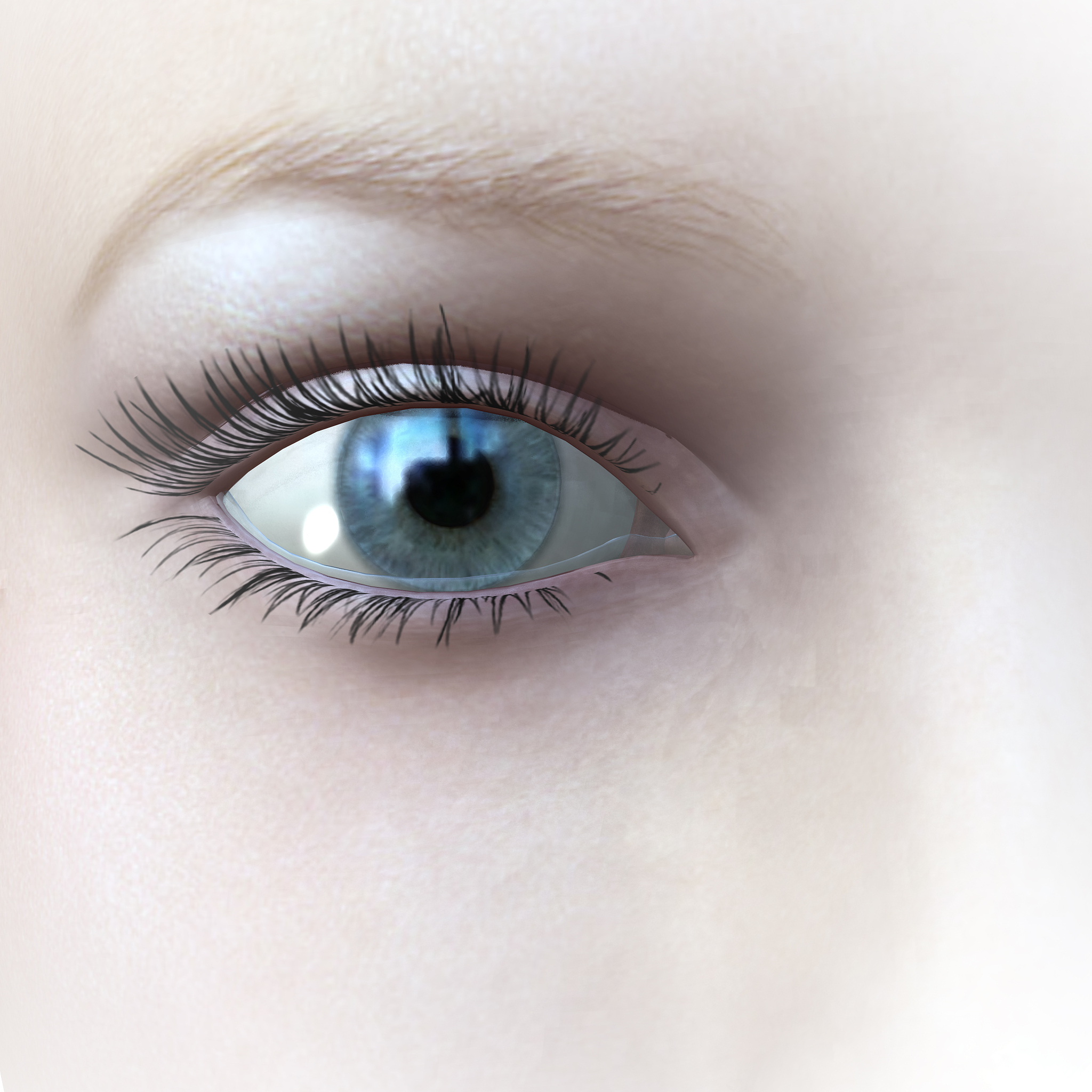 眼睛特征描述：从颜色、大小到神态，探寻眼神背后的秘密