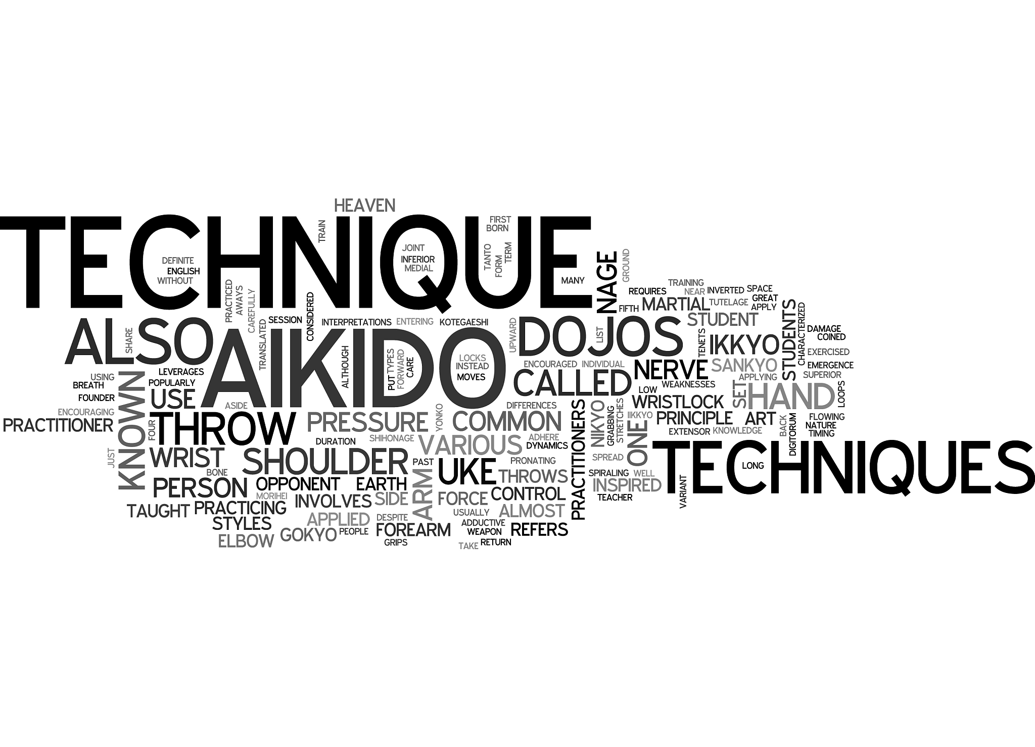 aikido technique text word cloud concept