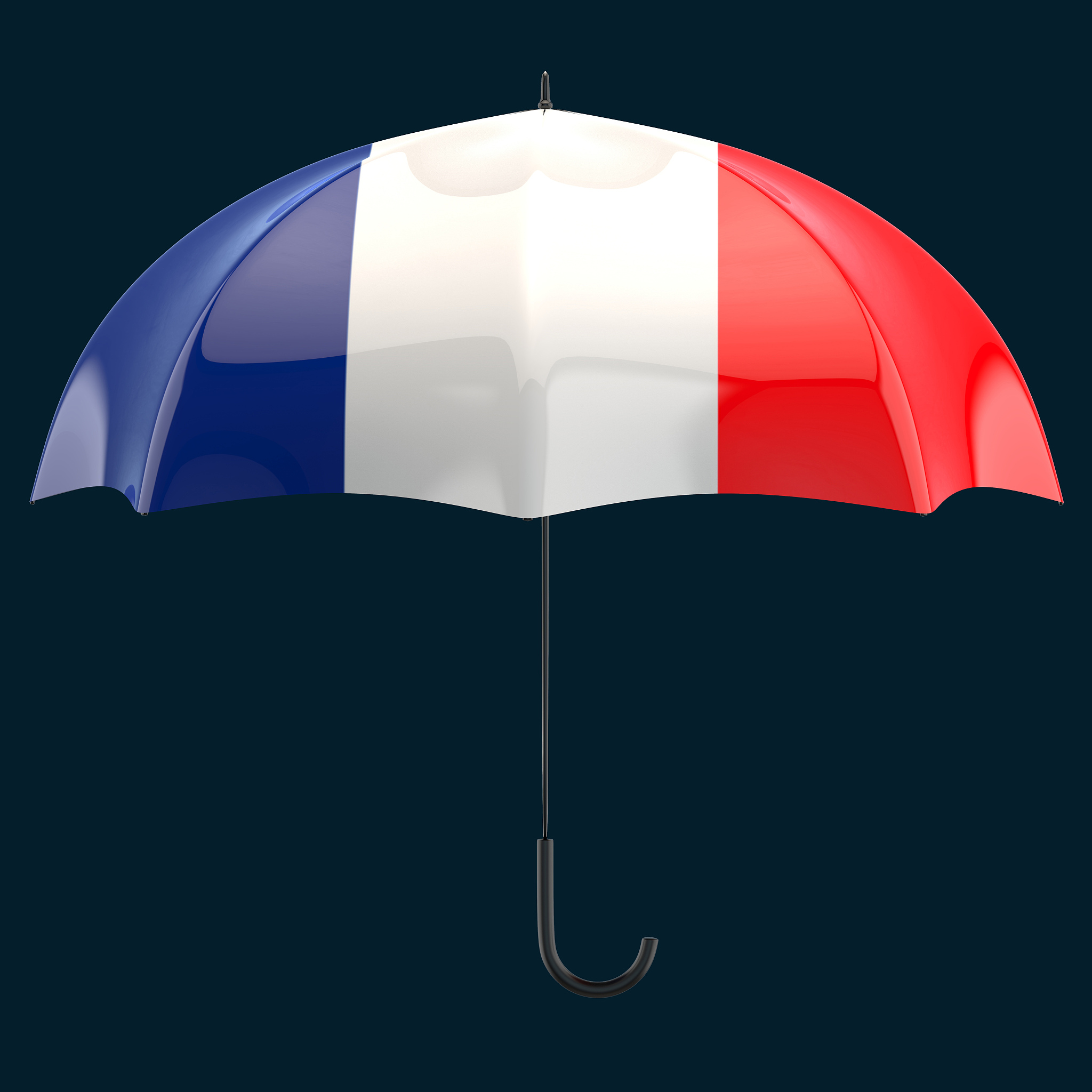 umbrella concept - 3d illustration