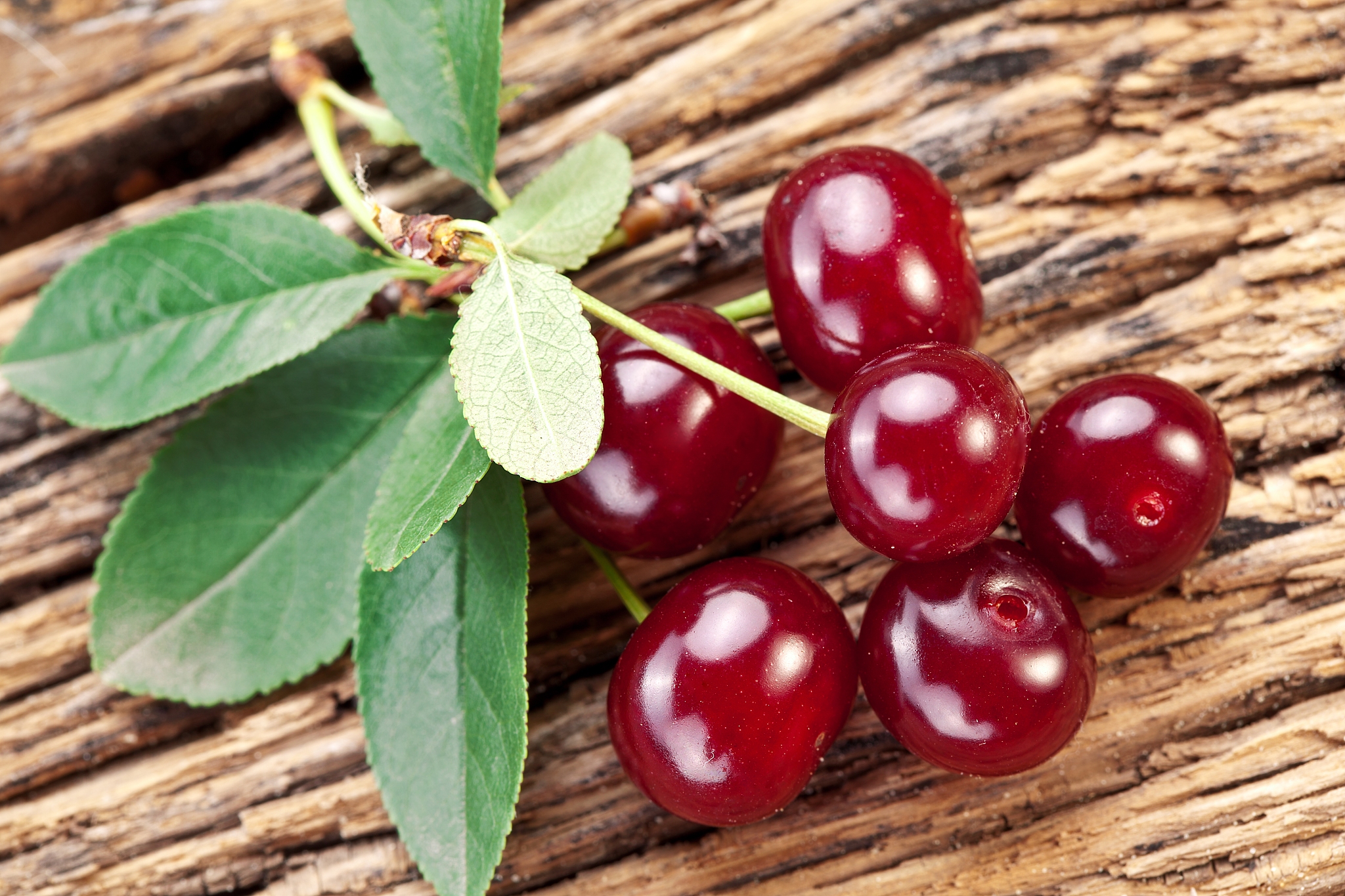 cherries with leaves.