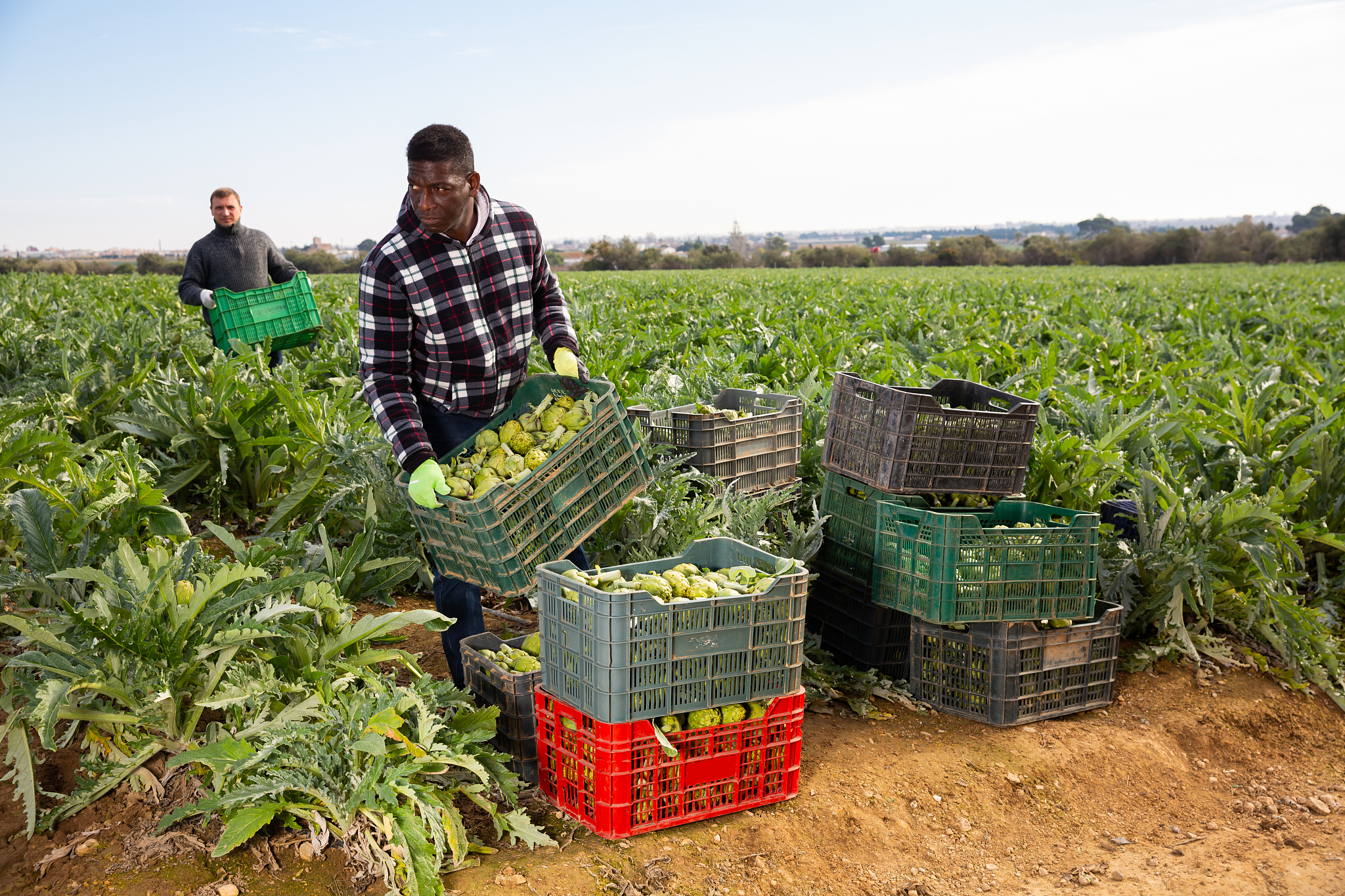 黑龙江农业经济职业学院专业设置介绍：农业、经济、管理、工程