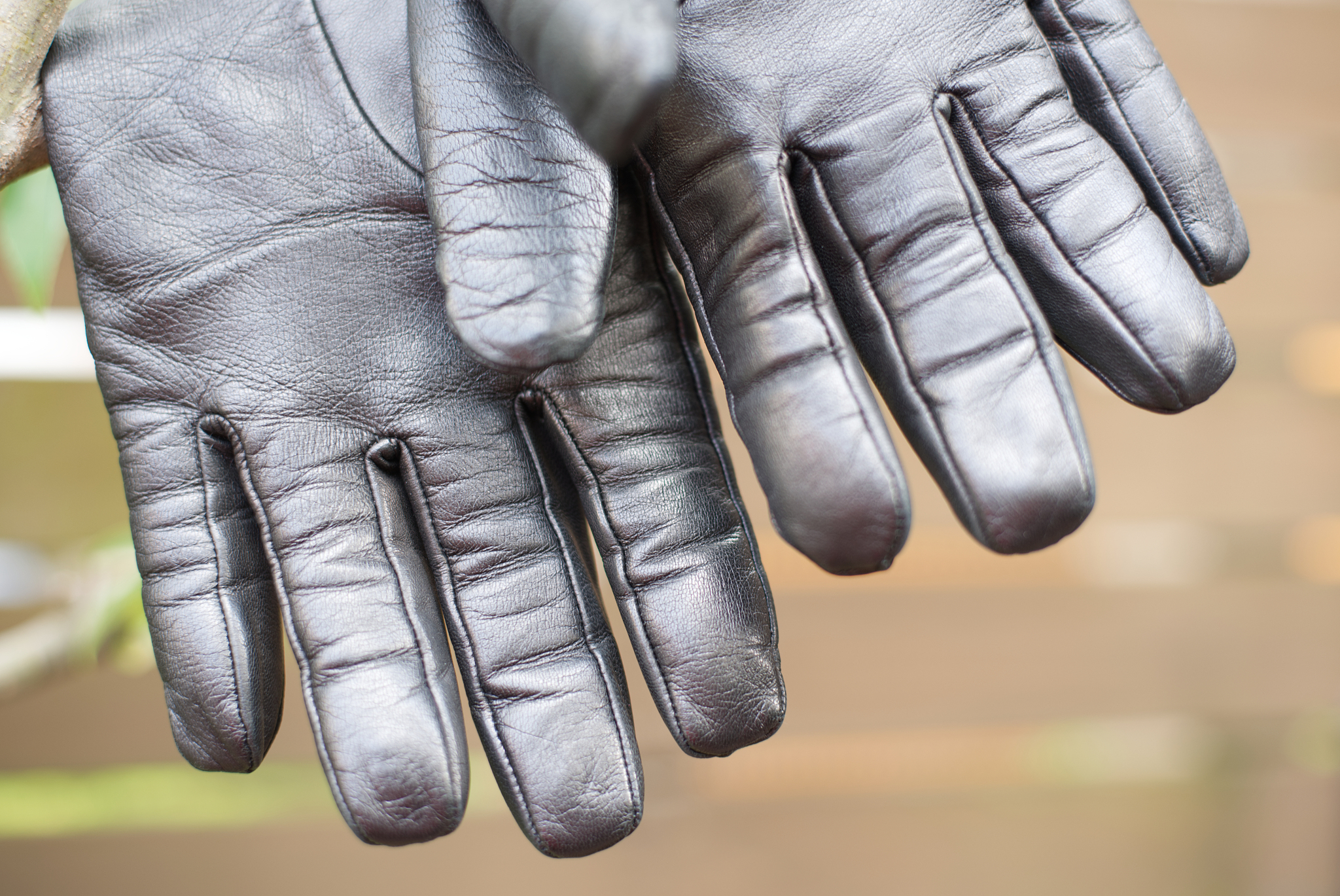 gloves