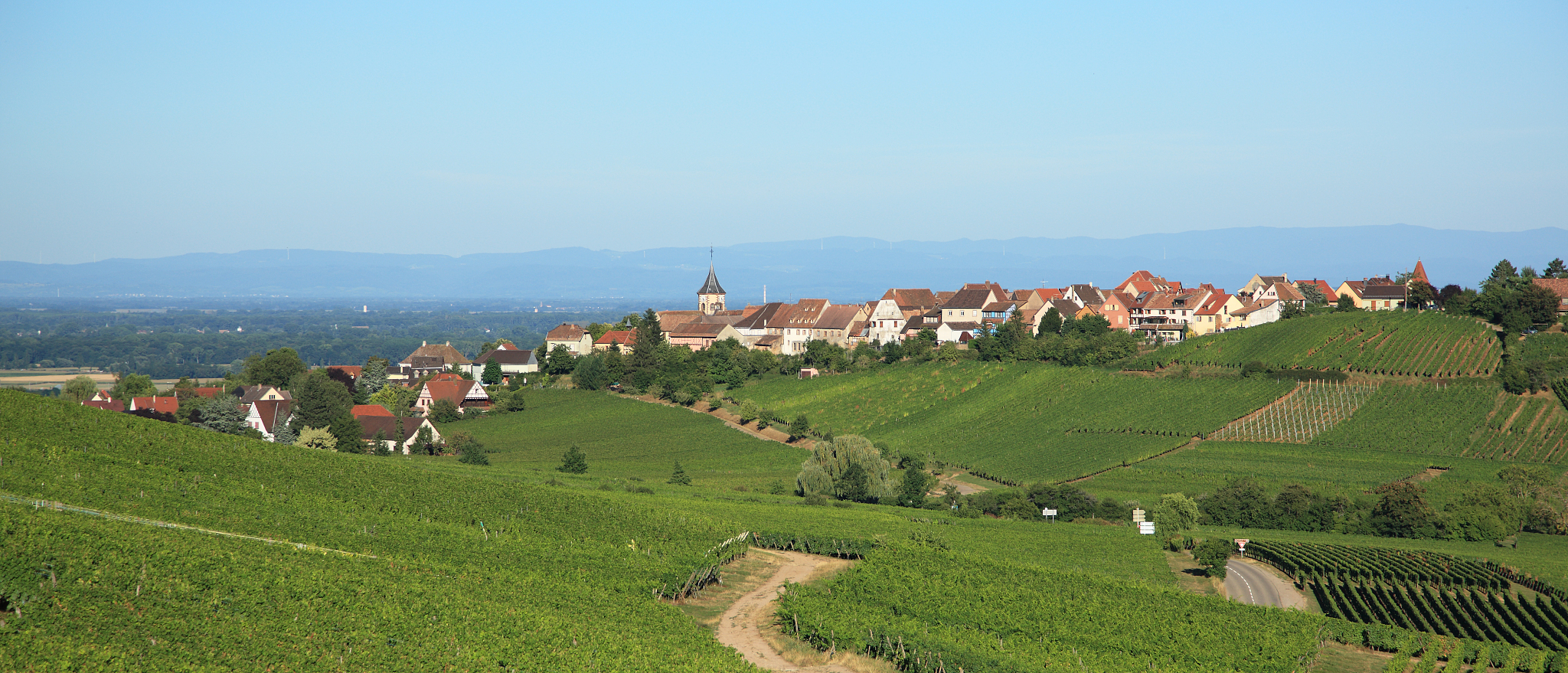 wine-grower village along wine route, <strong>z</strong>ellenberg, alsace, france