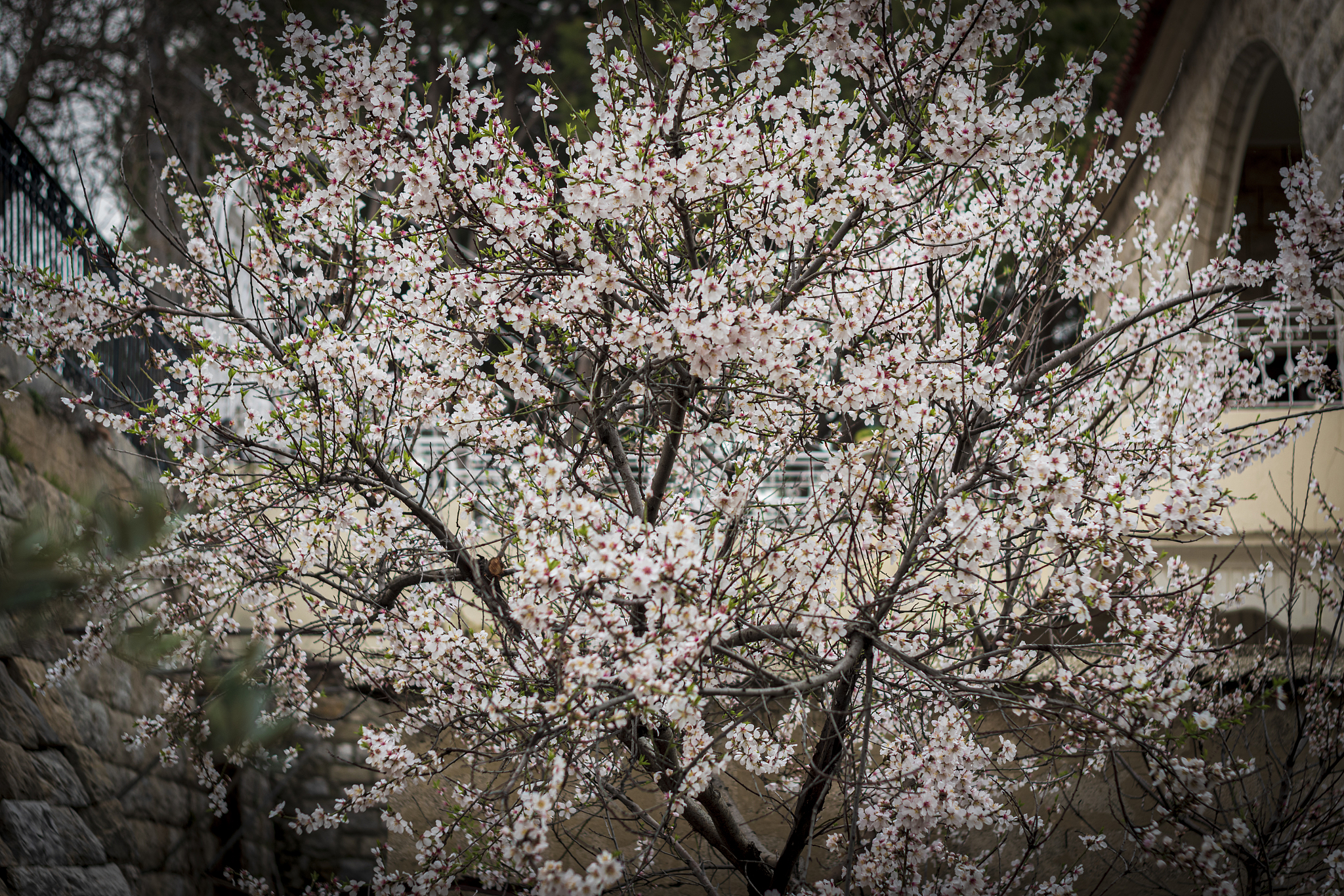 成都市铁路工程学校对任何一个学生负责