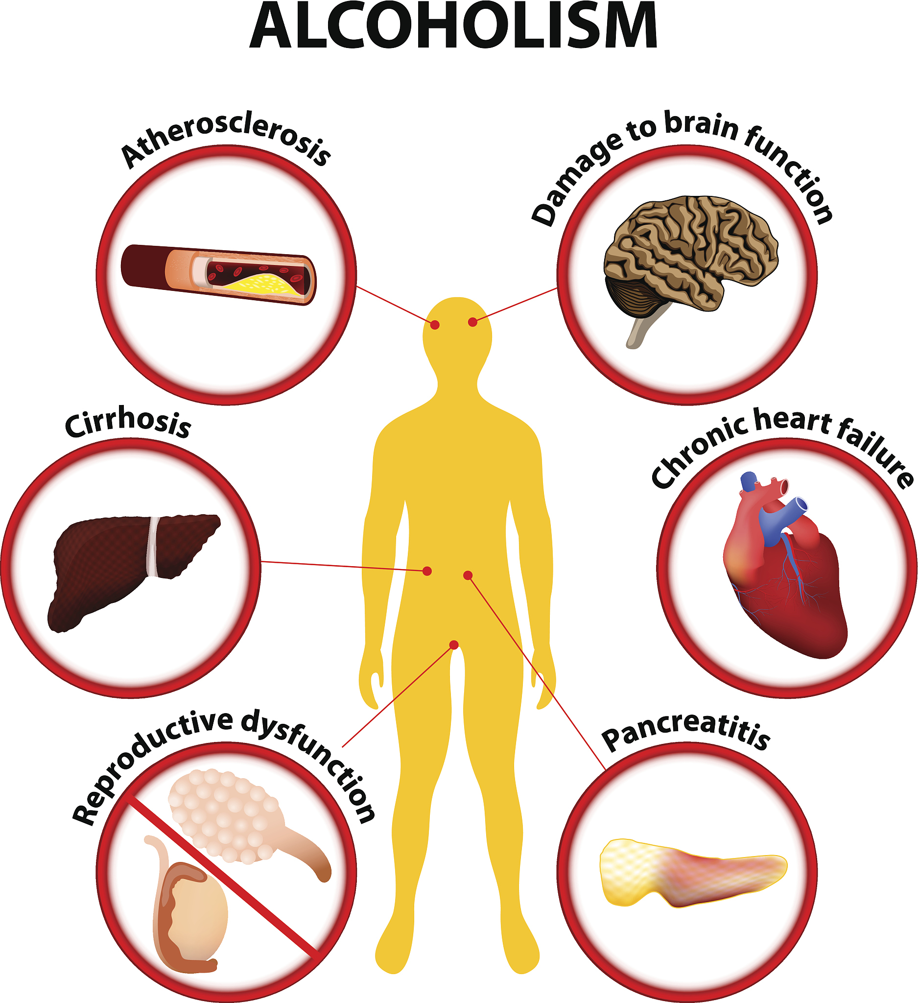 腺苷的用途：医疗应用及治疗范围