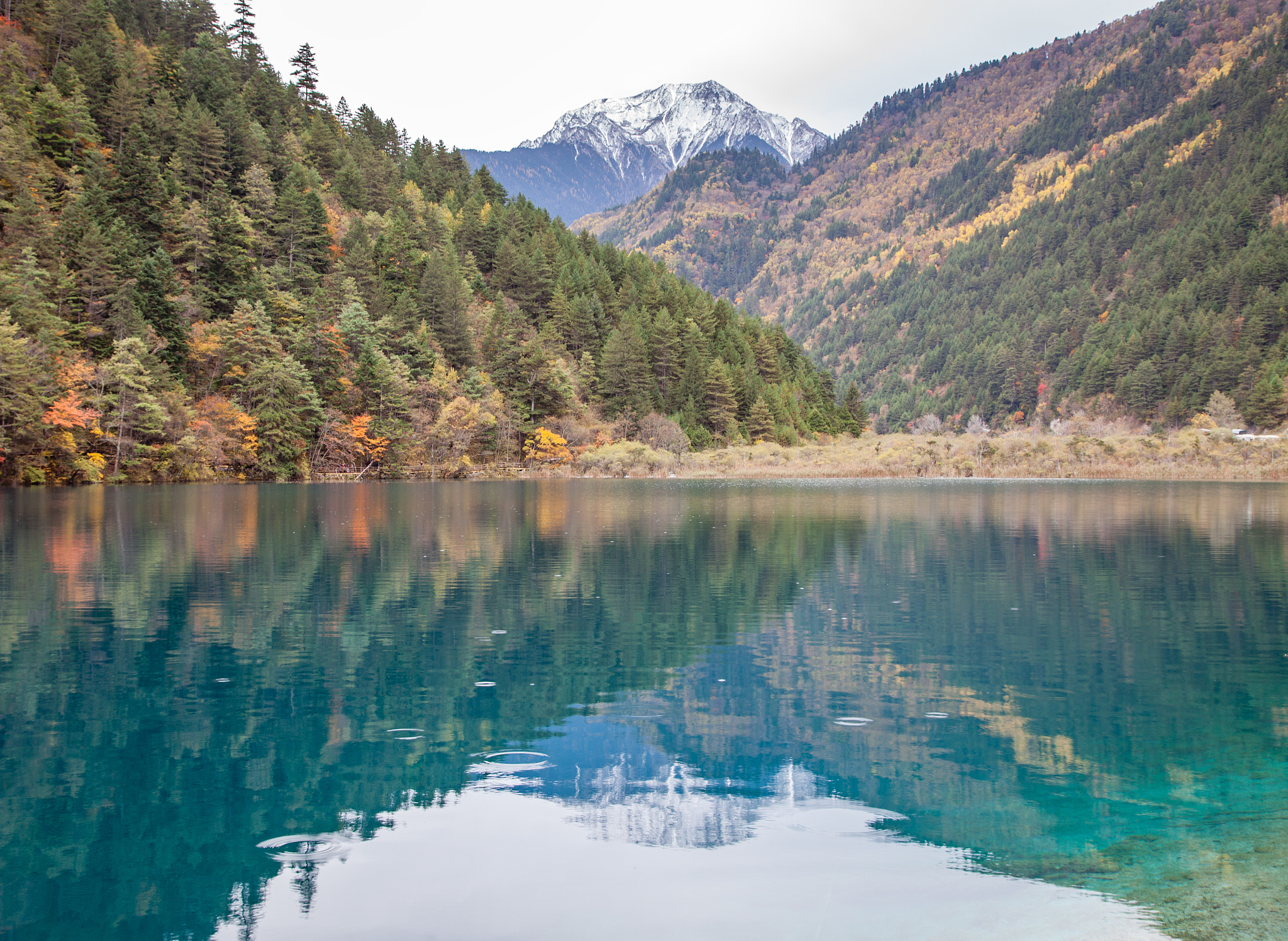 介绍四川九寨800字