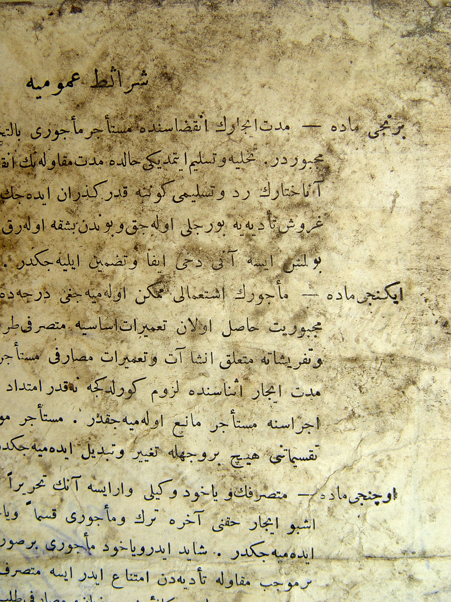 列夫托尔斯泰小说《复活》中的好句整理包括有哲理的句子、描写生动的句子、内容关键的句子越多越好