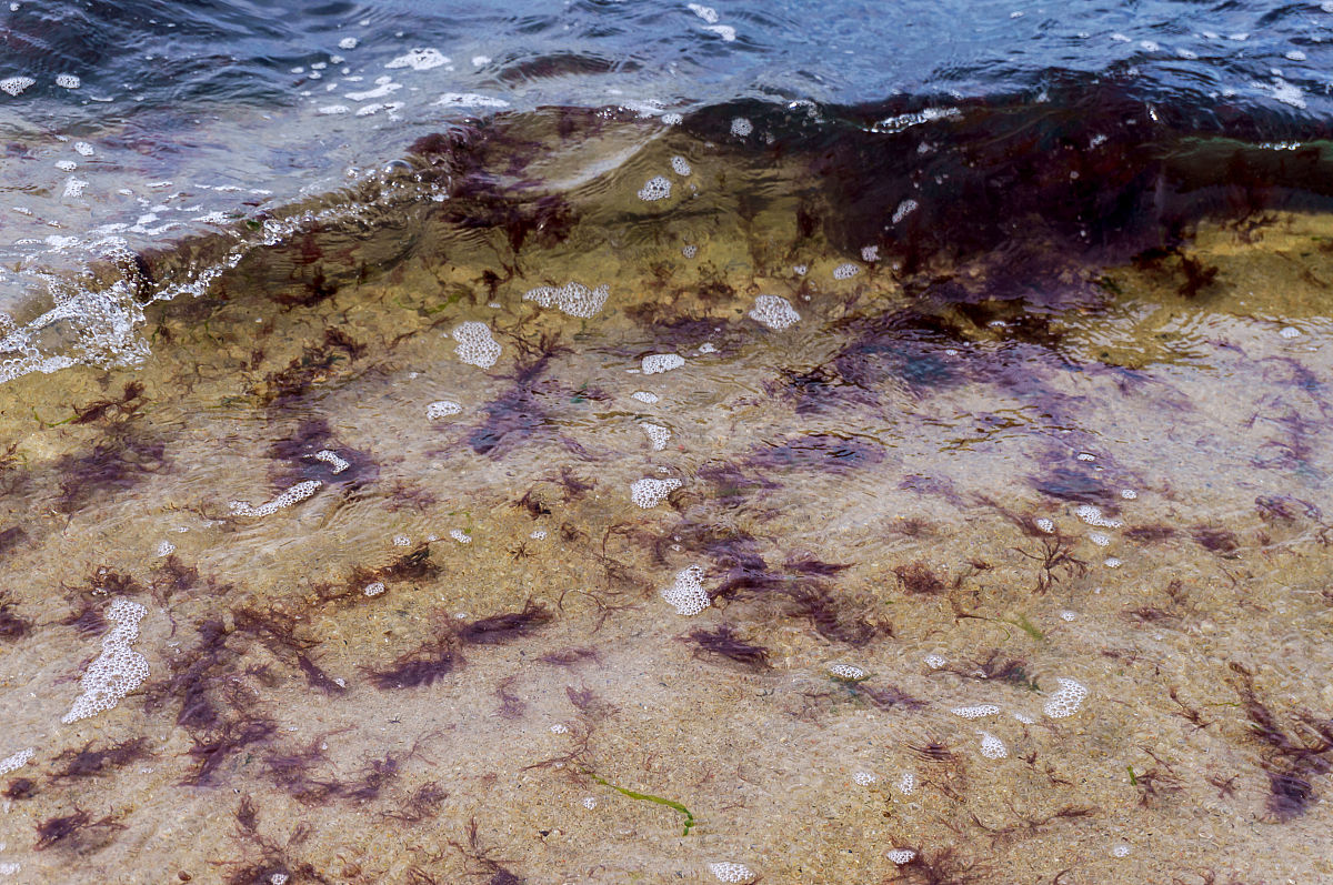 海洋环境腐蚀率是多少回答加拓展。