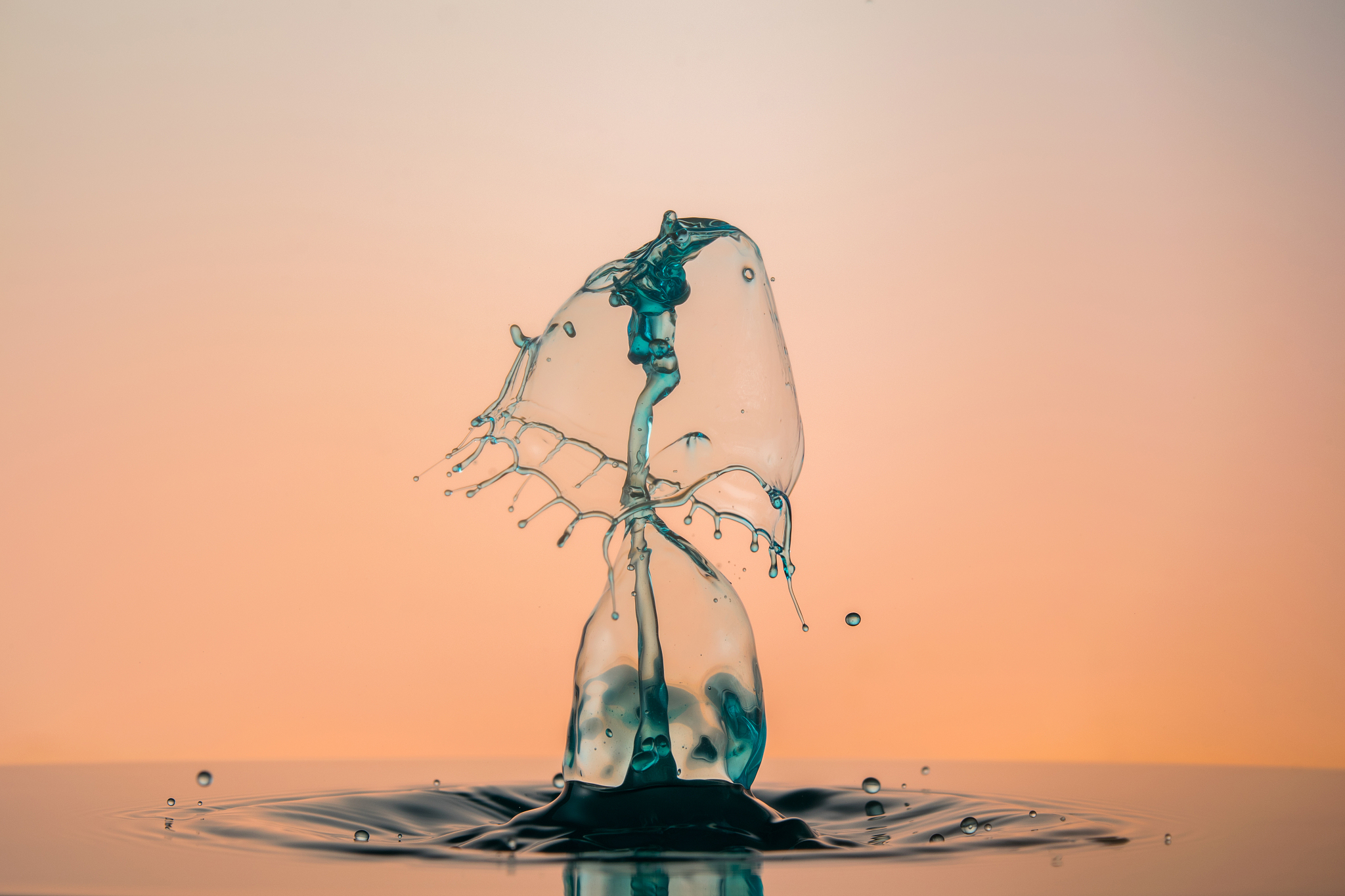 水乳交融是什么意思