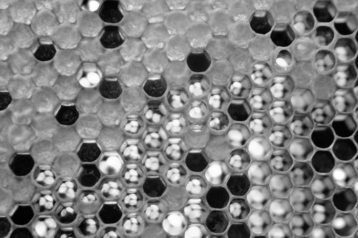 我国是一个贫油、少气、富煤的国家煤炭资源丰富开发利用的潜力巨大而煤的催化热解和催化气化技术是提高煤利用效率的重要方式之一。本文旨在研究煤的催化热解和催化气化技术以实现高效利用煤资源。首先本文介绍了煤催化热解机理及其相关催化剂种类包括金属类、过渡金属化合物和负载类等并分别阐述了煤直接催化热解和煤间接催化热解工艺。其次本文还探讨了煤催化气化制天然气工艺以及碱金属、过渡金属和复合催化剂的应用；对催化煤气