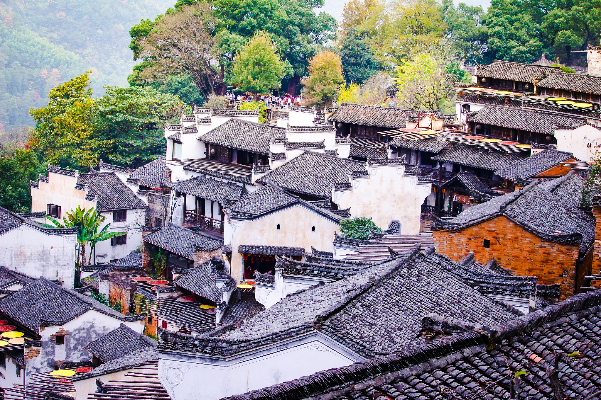 阅读下面的材料根据要求作文某驴友在网上发了几张偶然发现的一个古村落的照片村子周边风景清幽建筑虽显颓态但仍隐隐透出当年的繁华。不少网友急切打听村子的位置该驴友却不肯透露说怕来来往往的人太多干扰了当地人的生活更怕村子出名后因为过度开发而破坏了它本来的面目。跟帖的网友议论纷纷。有人说这样的古村落应该让更多的人了解它的价值。有人说如果缺乏必要的开发性保护这些古建筑用不了多久就会消失。也有人说只有经得起时间