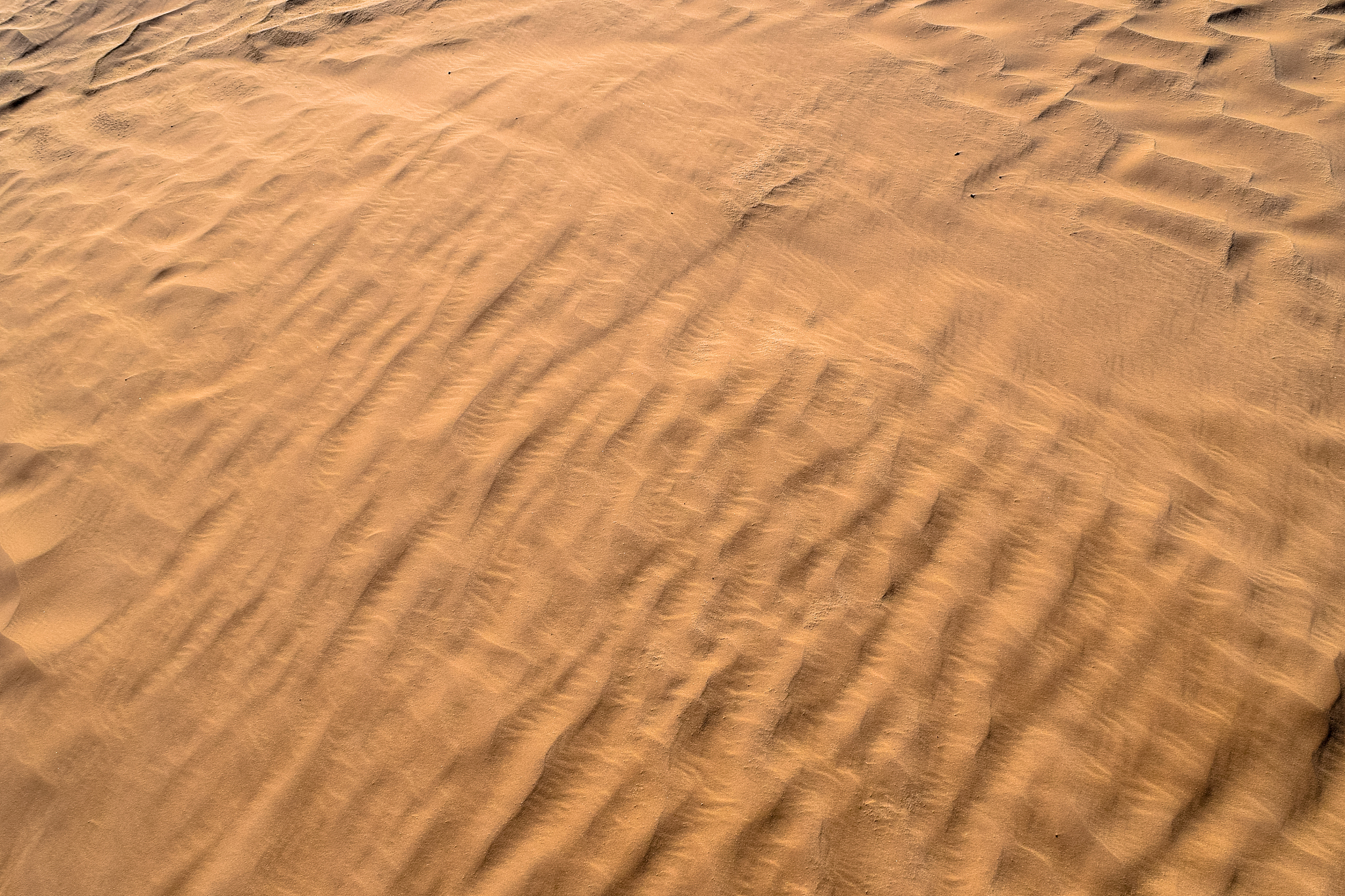 gold color desert and golden sands of sahara. texture, wallpaper