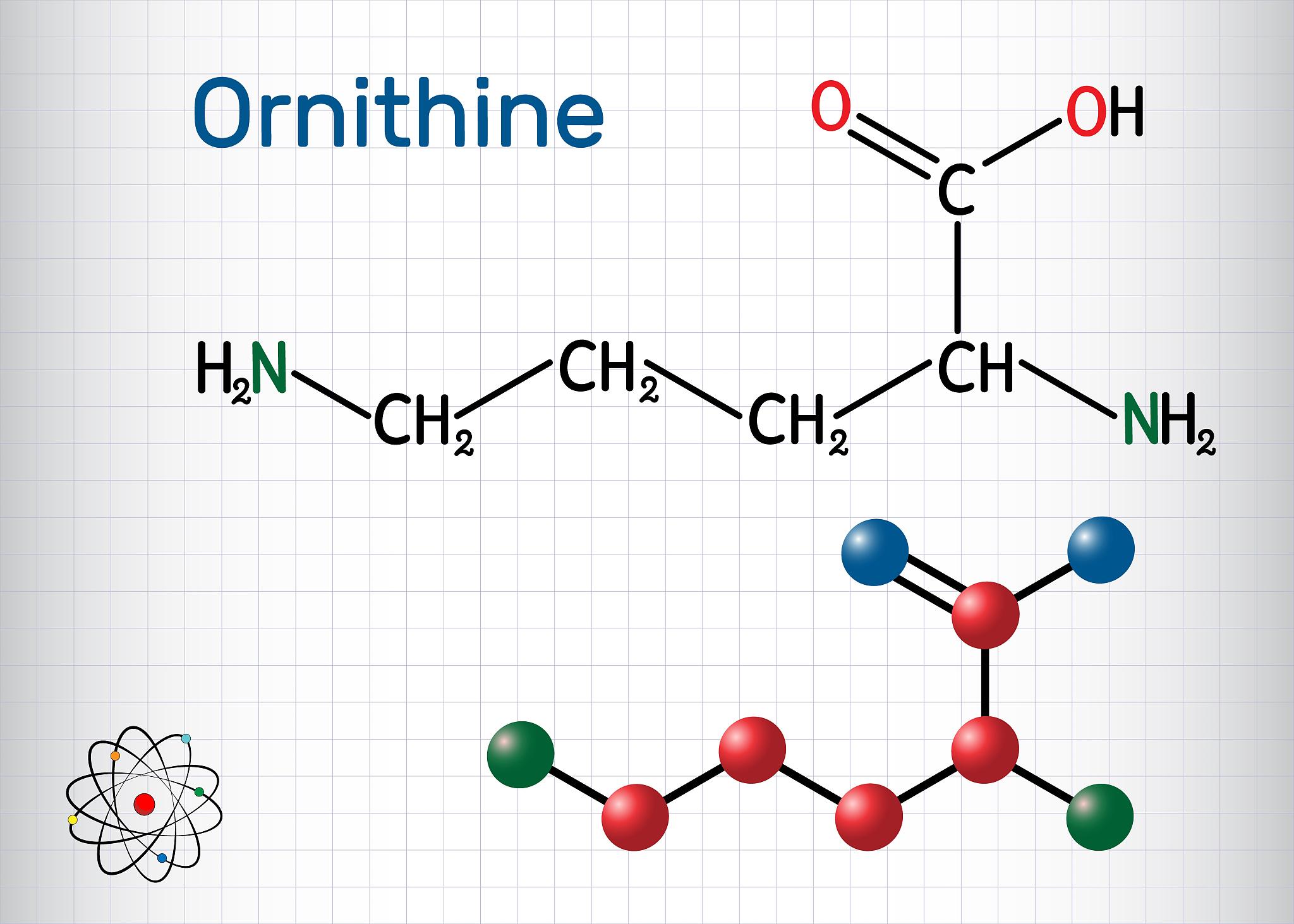 Lys-Thr-Lys-Gln-Gln-Phe-Leu-Ile-Lys-Ala-Gln-Thr-Gln-Leu-Phe-Lys-Val-Phe-Gly-Tyr-Thr-Leu-Lys-Lys分子量为多少Da