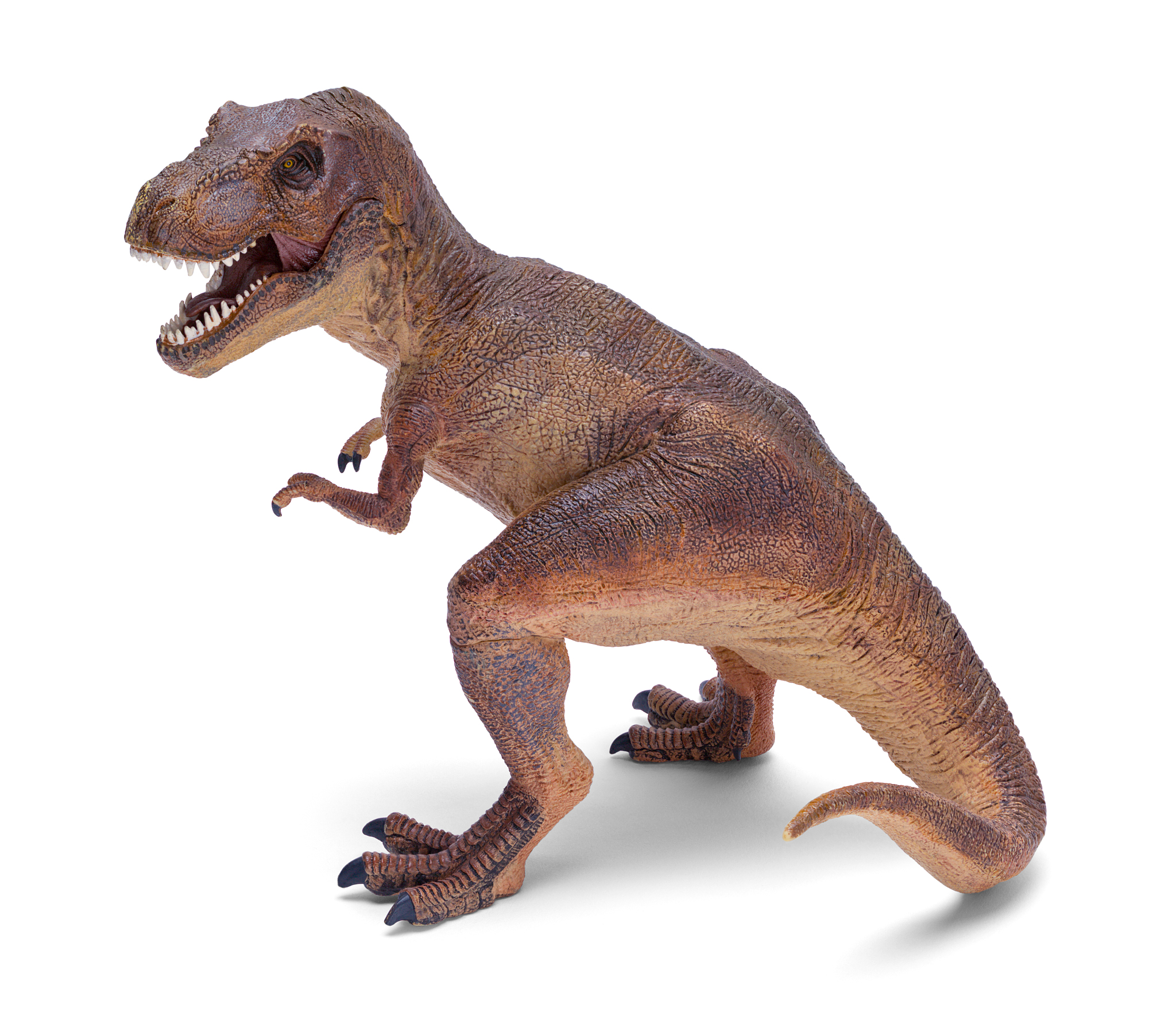 写一个10分钟的关于道奇霸王龙汽车的短视频文案要求有幽默感从分享角度写