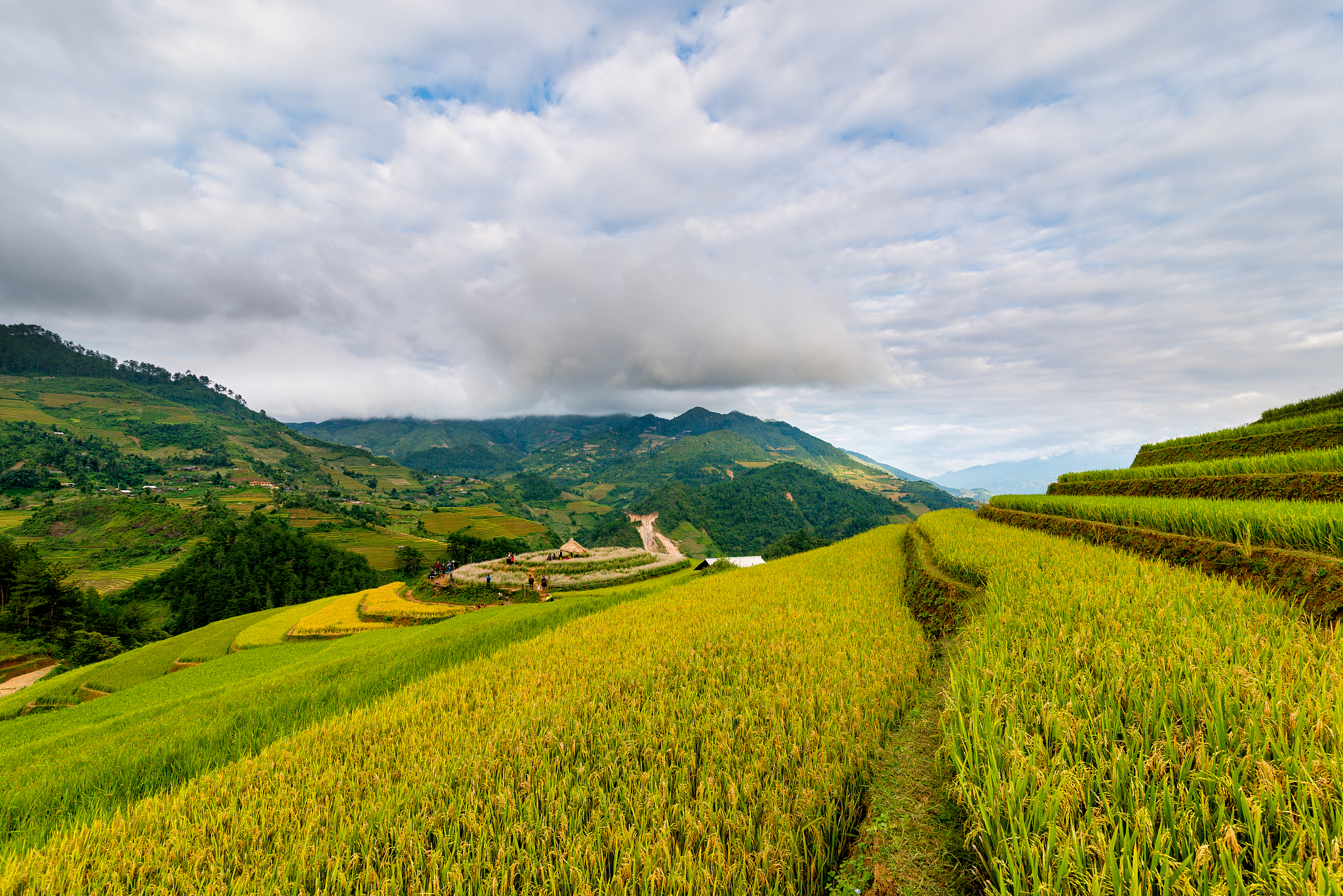 Li Shizhen's Bencao Gangmu: A Revolutionary Encyclopedia of Natural Knowledge