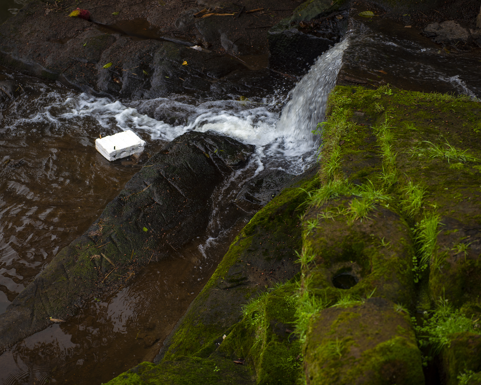 2019年四川省旅游学校招生专业：培养旅游人才，助力行业发展