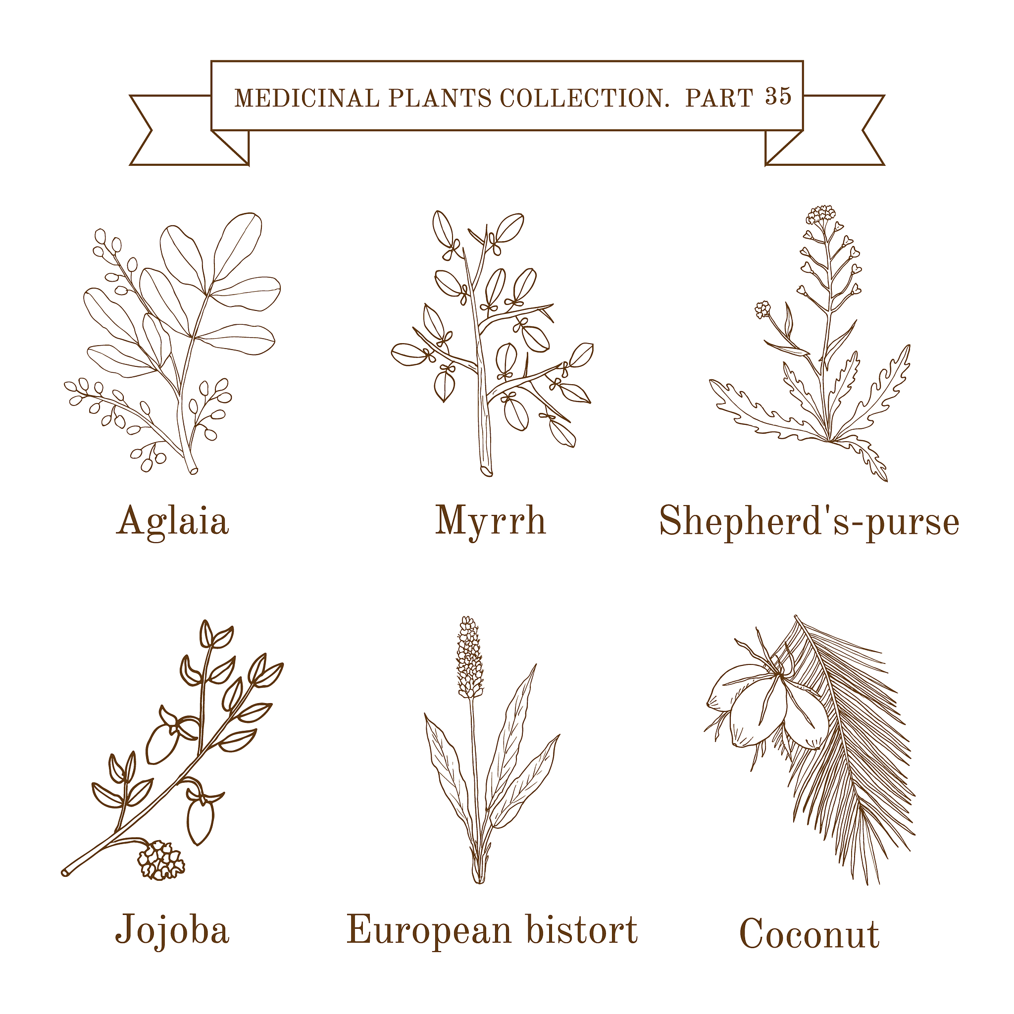 翻译：Additionally information on each variety’s name market class and crop pedi-gree was also collected Varieties often have aliases or different spellings depend-ing on the time and location they were