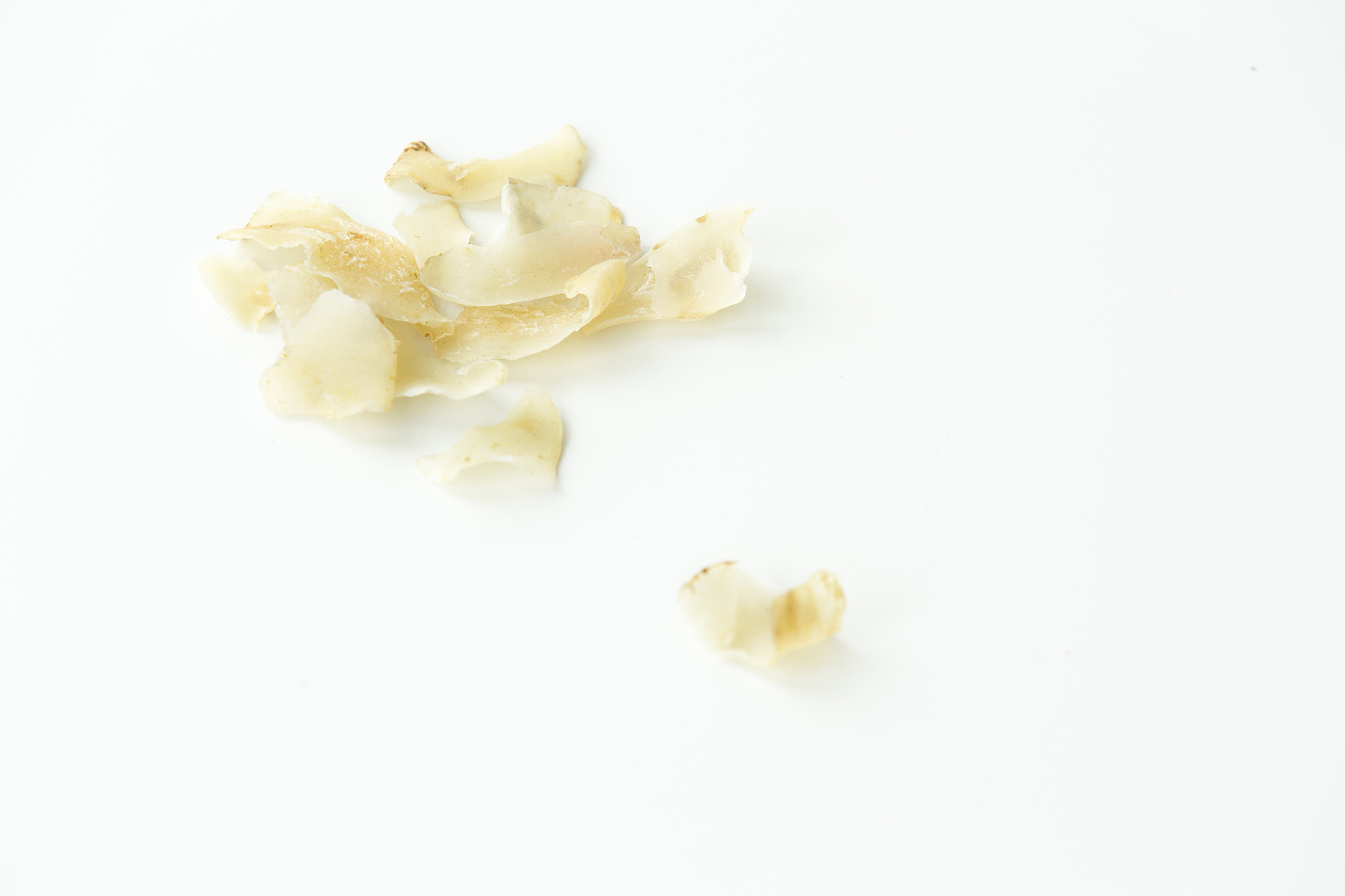 百合能提高性功能？揭秘真相，幽默解读！