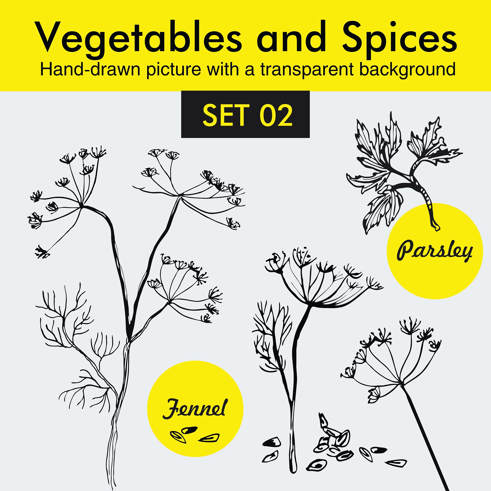 Denosumab: The Optimal Choice for Improving Total Hip BMD and Treating Osteoporosis